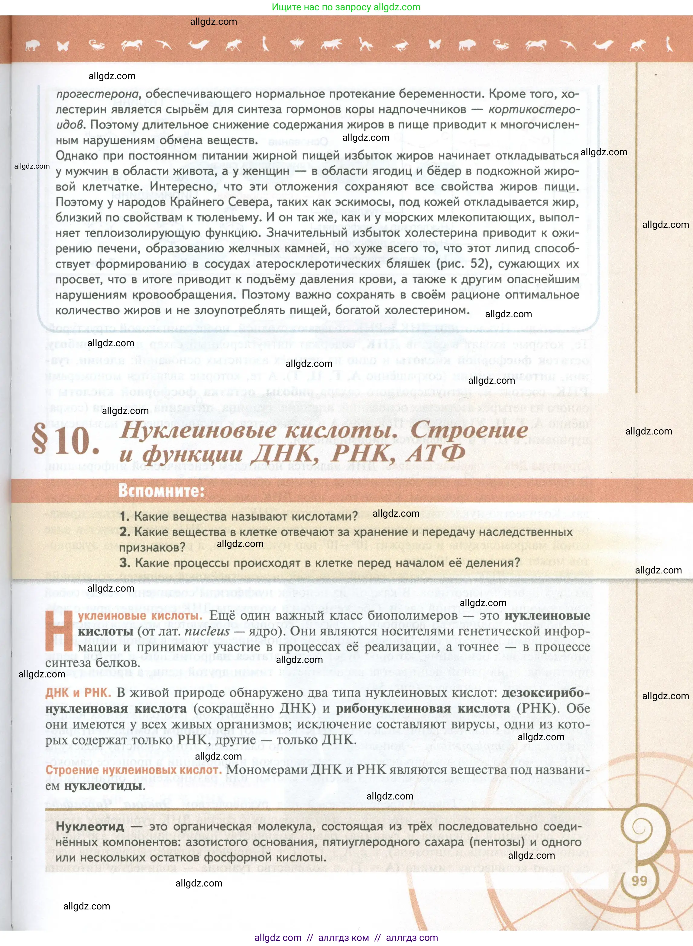 Биология, 10 класс Учебник, авторы: Пасечник Владимир Васильевич, Каменский Андрей Александрович, Рубцов Александр Михайлович, Швецов Глеб Геннадьевич, Абовян Леван Арташесович, Гапонюк Зоя Георгиевна, издательство Просвещение, Москва, 2024, коричневого цвета, Часть 1, страница 99