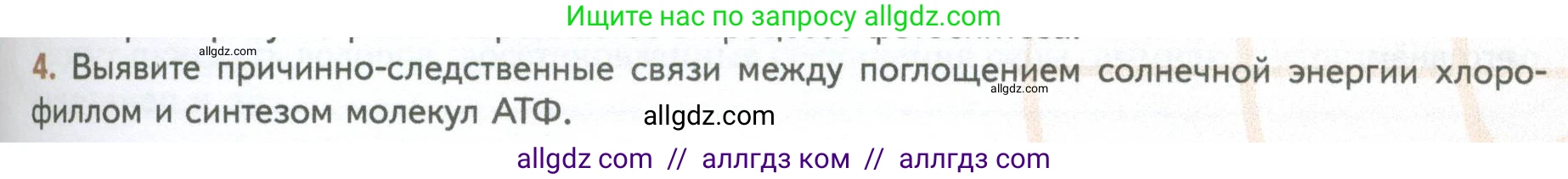 Биология, 10 класс Учебник, авторы: Пасечник Владимир Васильевич, Каменский Андрей Александрович, Рубцов Александр Михайлович, Швецов Глеб Геннадьевич, Абовян Леван Арташесович, Гапонюк Зоя Георгиевна, издательство Просвещение, Москва, 2024, коричневого цвета, Часть 1, страница 175, номер 4, Условие