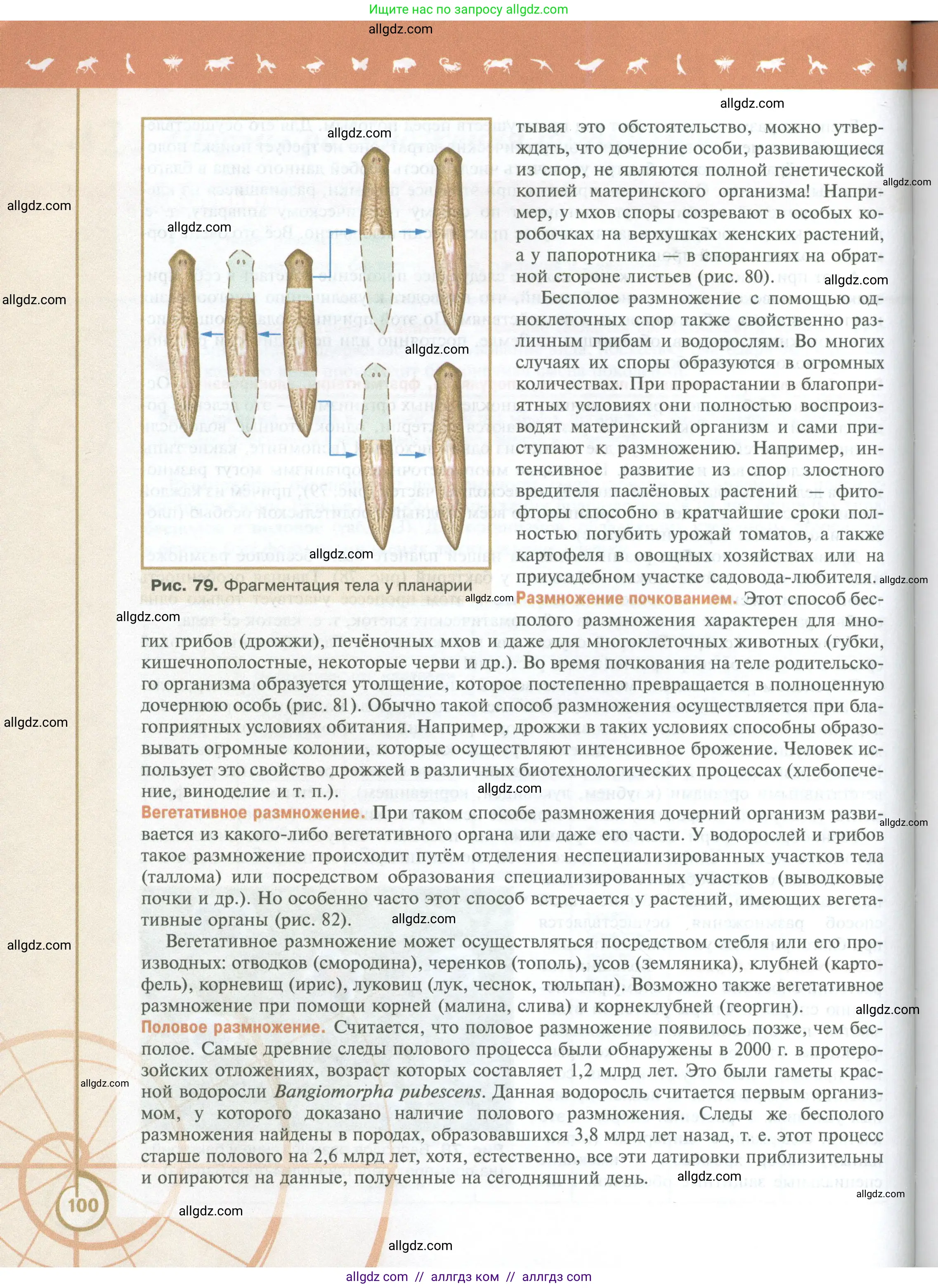 Биология, 10 класс Учебник, авторы: Пасечник Владимир Васильевич, Каменский Андрей Александрович, Рубцов Александр Михайлович, Швецов Глеб Геннадьевич, Абовян Леван Арташесович, Гапонюк Зоя Георгиевна, издательство Просвещение, Москва, 2024, коричневого цвета, страница 100