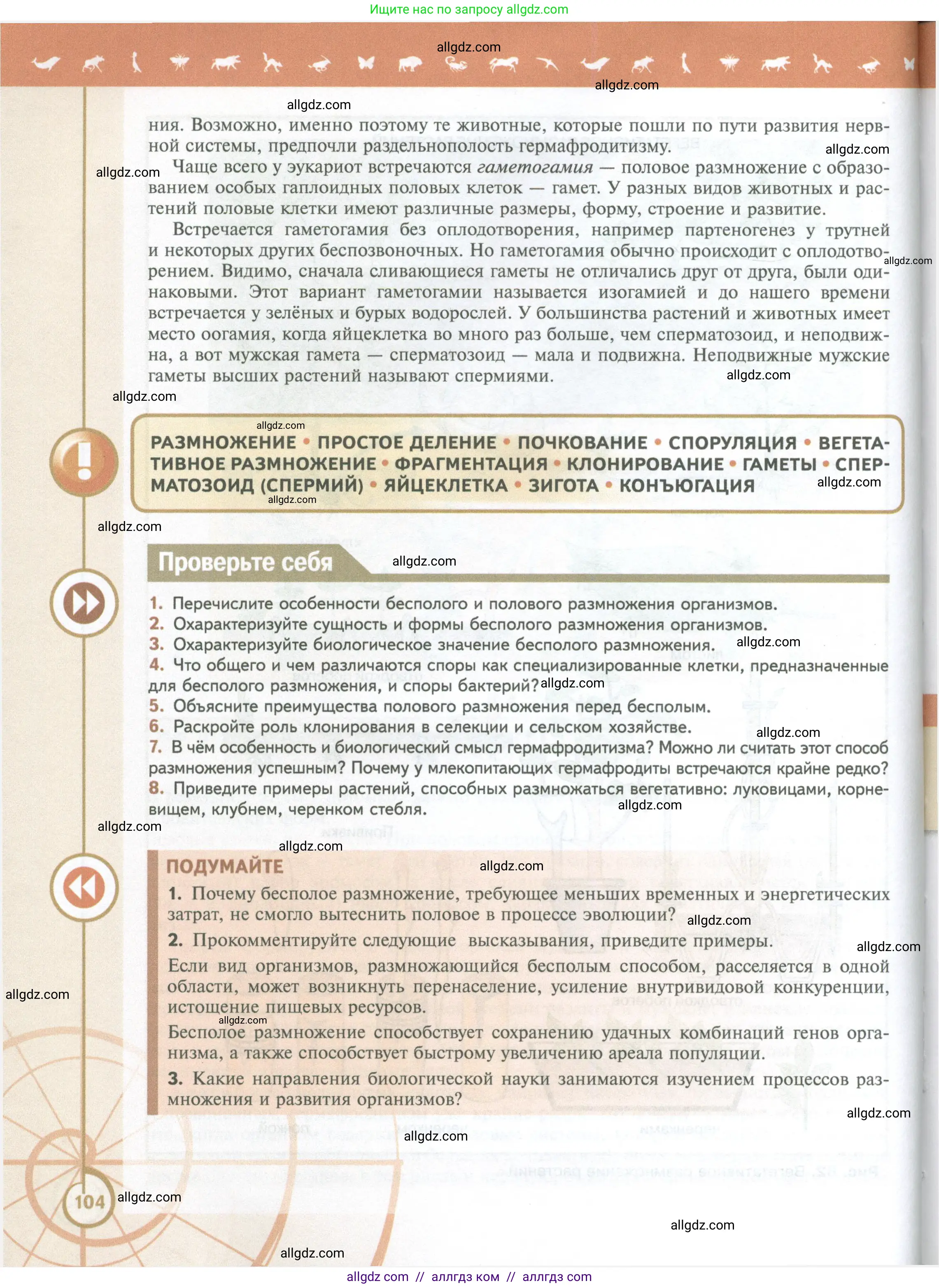 Биология, 10 класс Учебник, авторы: Пасечник Владимир Васильевич, Каменский Андрей Александрович, Рубцов Александр Михайлович, Швецов Глеб Геннадьевич, Абовян Леван Арташесович, Гапонюк Зоя Георгиевна, издательство Просвещение, Москва, 2024, коричневого цвета, Часть 2, страница 104