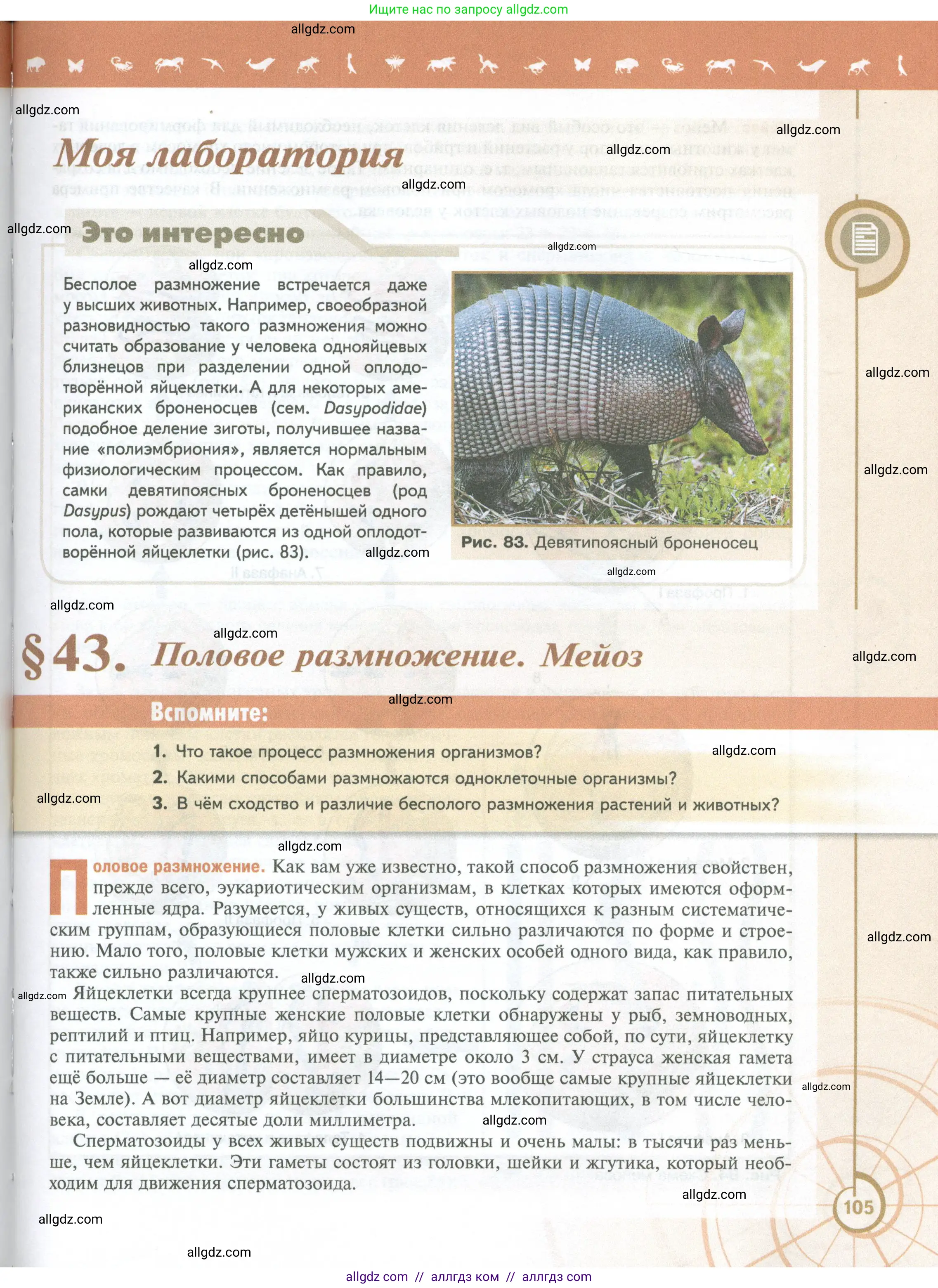 Биология, 10 класс Учебник, авторы: Пасечник Владимир Васильевич, Каменский Андрей Александрович, Рубцов Александр Михайлович, Швецов Глеб Геннадьевич, Абовян Леван Арташесович, Гапонюк Зоя Георгиевна, издательство Просвещение, Москва, 2024, коричневого цвета, Часть 2, страница 105