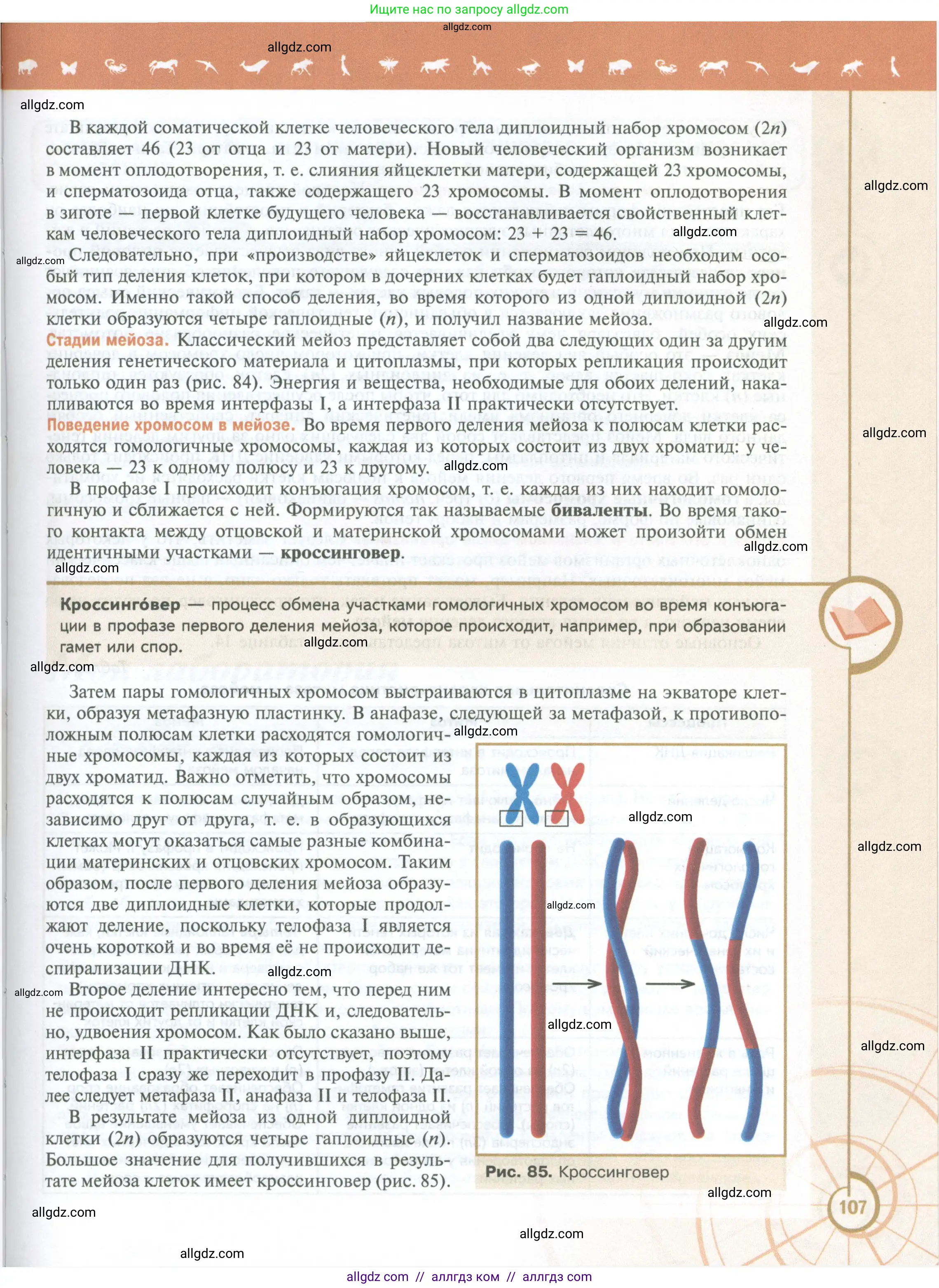 Биология, 10 класс Учебник, авторы: Пасечник Владимир Васильевич, Каменский Андрей Александрович, Рубцов Александр Михайлович, Швецов Глеб Геннадьевич, Абовян Леван Арташесович, Гапонюк Зоя Георгиевна, издательство Просвещение, Москва, 2024, коричневого цвета, страница 107