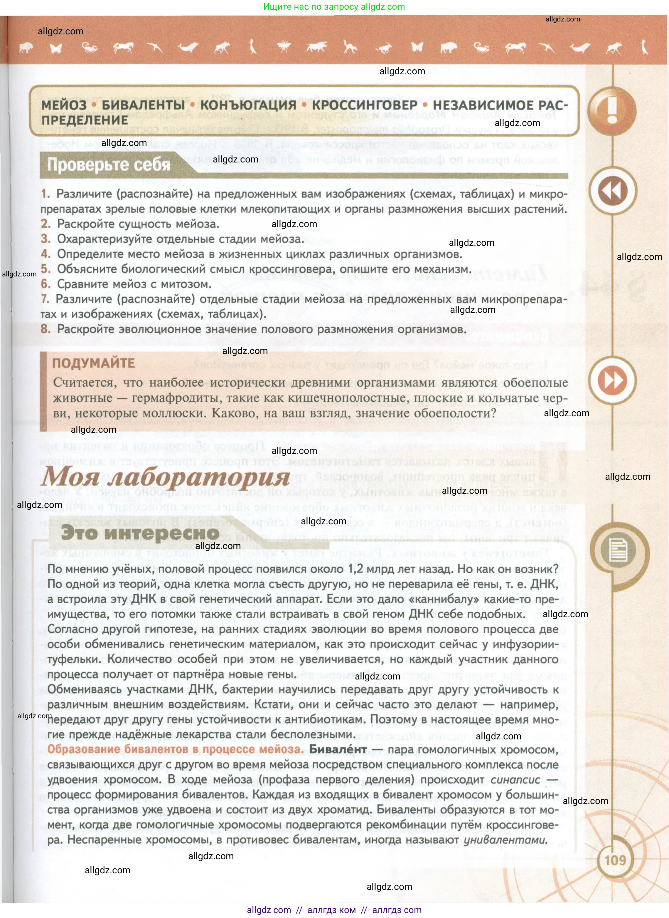 Биология, 10 класс Учебник, авторы: Пасечник Владимир Васильевич, Каменский Андрей Александрович, Рубцов Александр Михайлович, Швецов Глеб Геннадьевич, Абовян Леван Арташесович, Гапонюк Зоя Георгиевна, издательство Просвещение, Москва, 2024, коричневого цвета, Часть 2, страница 109