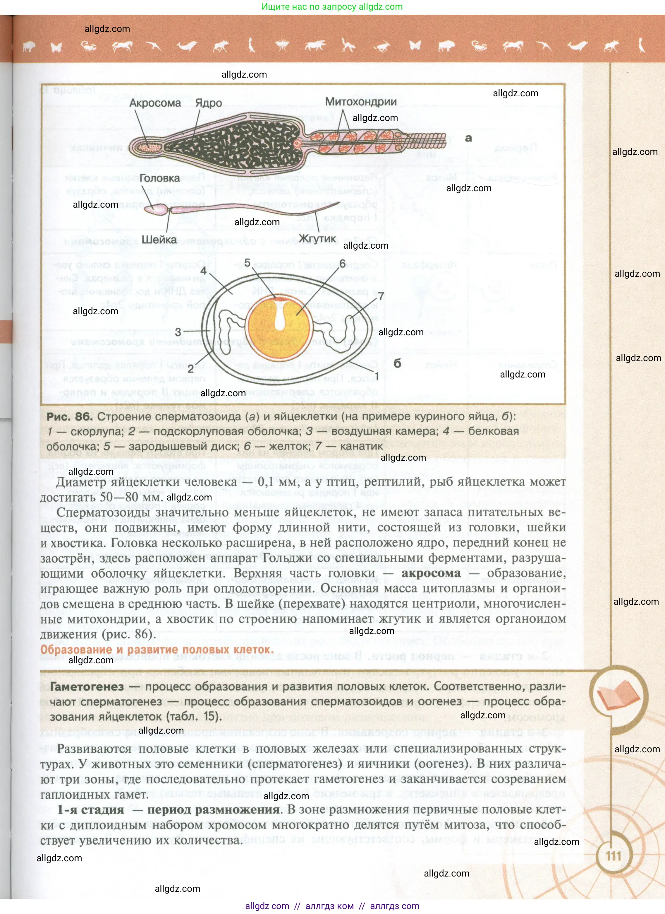 Биология, 10 класс Учебник, авторы: Пасечник Владимир Васильевич, Каменский Андрей Александрович, Рубцов Александр Михайлович, Швецов Глеб Геннадьевич, Абовян Леван Арташесович, Гапонюк Зоя Георгиевна, издательство Просвещение, Москва, 2024, коричневого цвета, страница 111