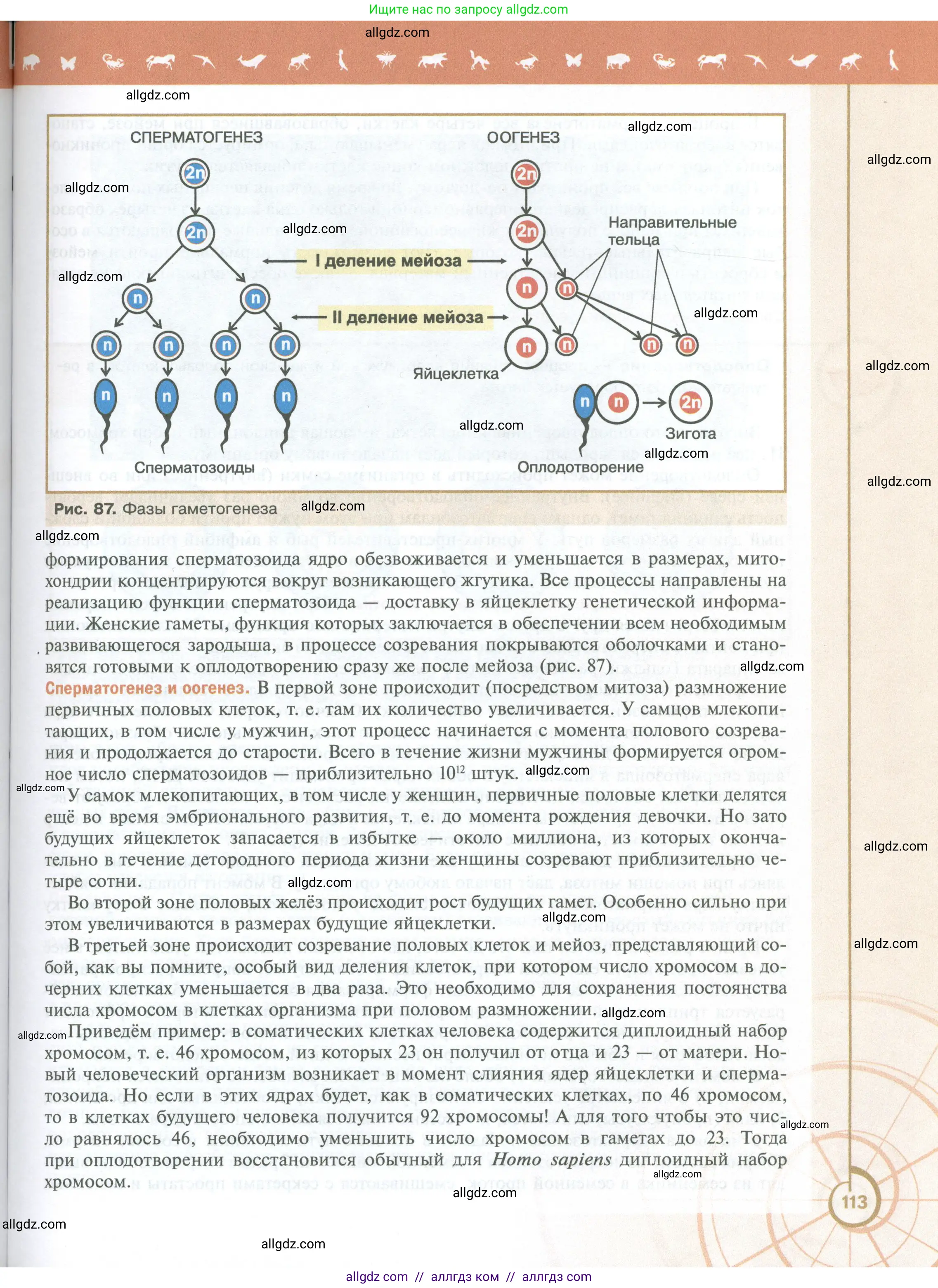 Биология, 10 класс Учебник, авторы: Пасечник Владимир Васильевич, Каменский Андрей Александрович, Рубцов Александр Михайлович, Швецов Глеб Геннадьевич, Абовян Леван Арташесович, Гапонюк Зоя Георгиевна, издательство Просвещение, Москва, 2024, коричневого цвета, страница 113