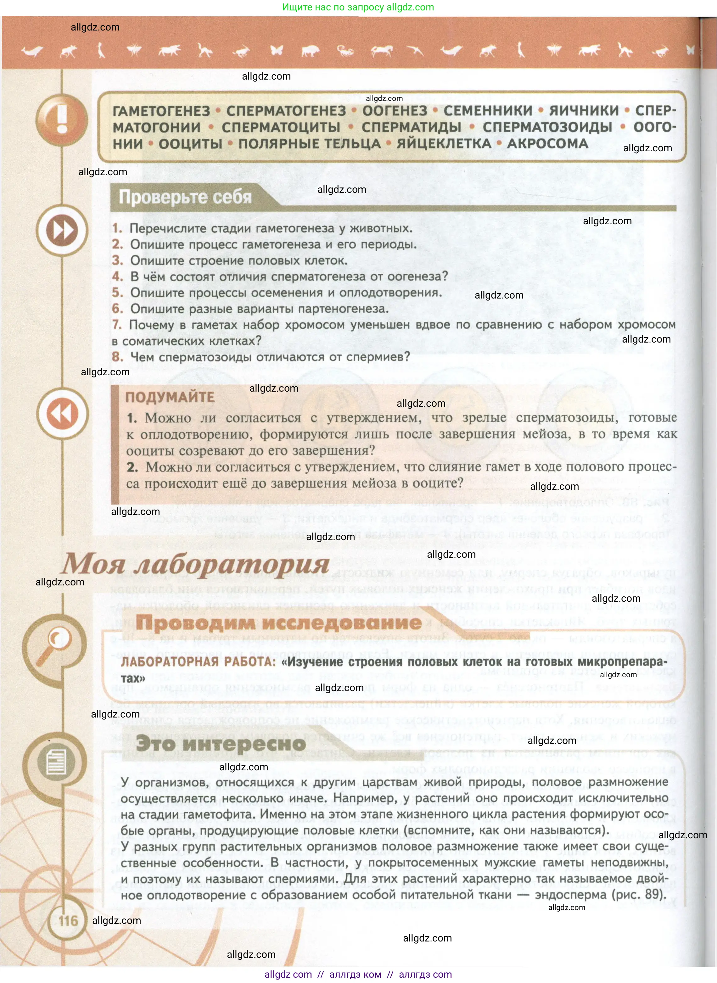 Биология, 10 класс Учебник, авторы: Пасечник Владимир Васильевич, Каменский Андрей Александрович, Рубцов Александр Михайлович, Швецов Глеб Геннадьевич, Абовян Леван Арташесович, Гапонюк Зоя Георгиевна, издательство Просвещение, Москва, 2024, коричневого цвета, Часть 2, страница 116