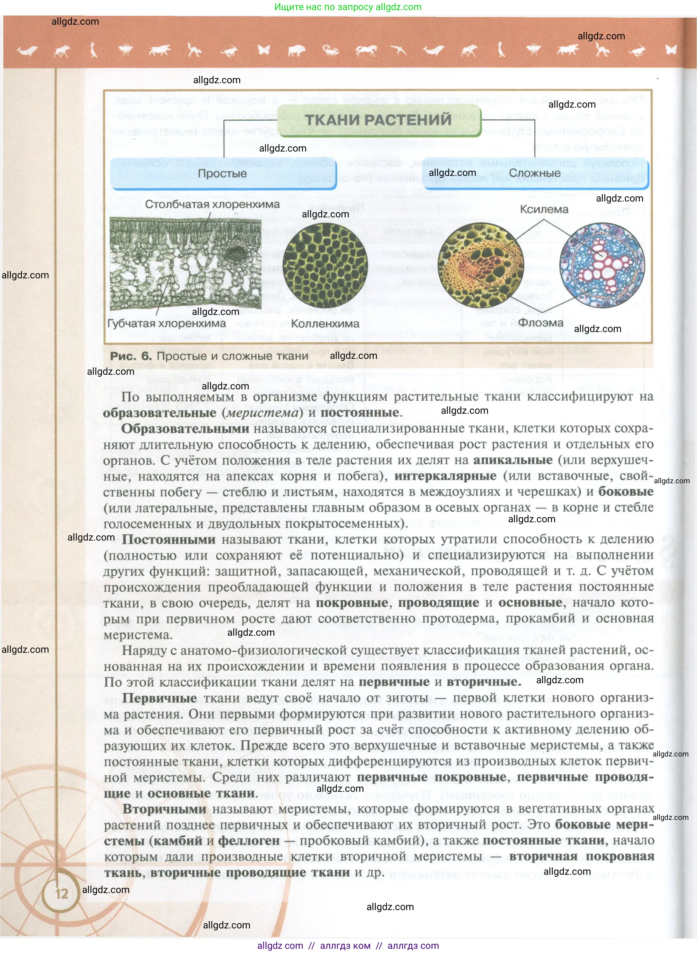 Биология, 10 класс Учебник, авторы: Пасечник Владимир Васильевич, Каменский Андрей Александрович, Рубцов Александр Михайлович, Швецов Глеб Геннадьевич, Абовян Леван Арташесович, Гапонюк Зоя Георгиевна, издательство Просвещение, Москва, 2024, коричневого цвета, страница 12