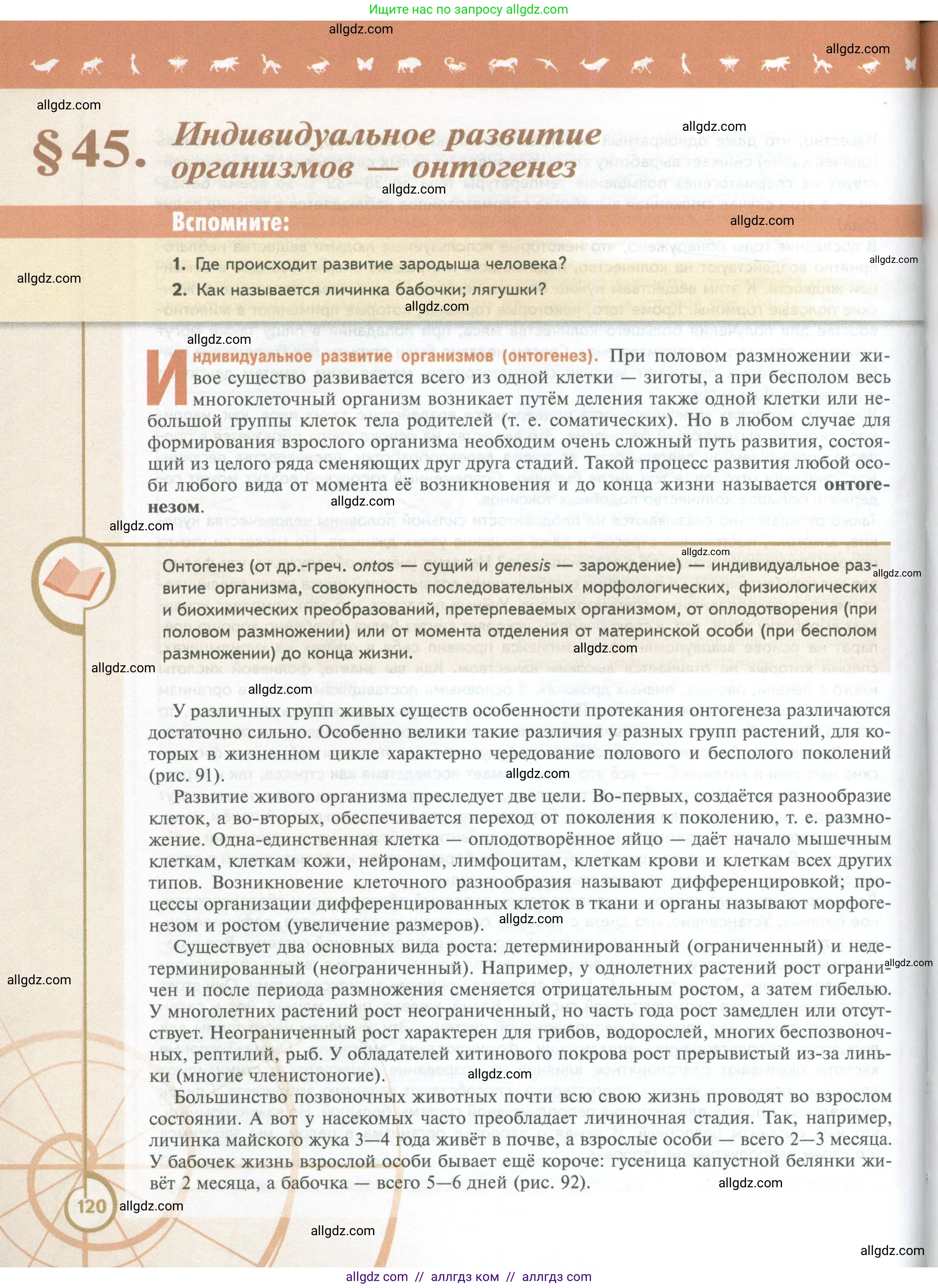 Биология, 10 класс Учебник, авторы: Пасечник Владимир Васильевич, Каменский Андрей Александрович, Рубцов Александр Михайлович, Швецов Глеб Геннадьевич, Абовян Леван Арташесович, Гапонюк Зоя Георгиевна, издательство Просвещение, Москва, 2024, коричневого цвета, Часть 2, страница 120