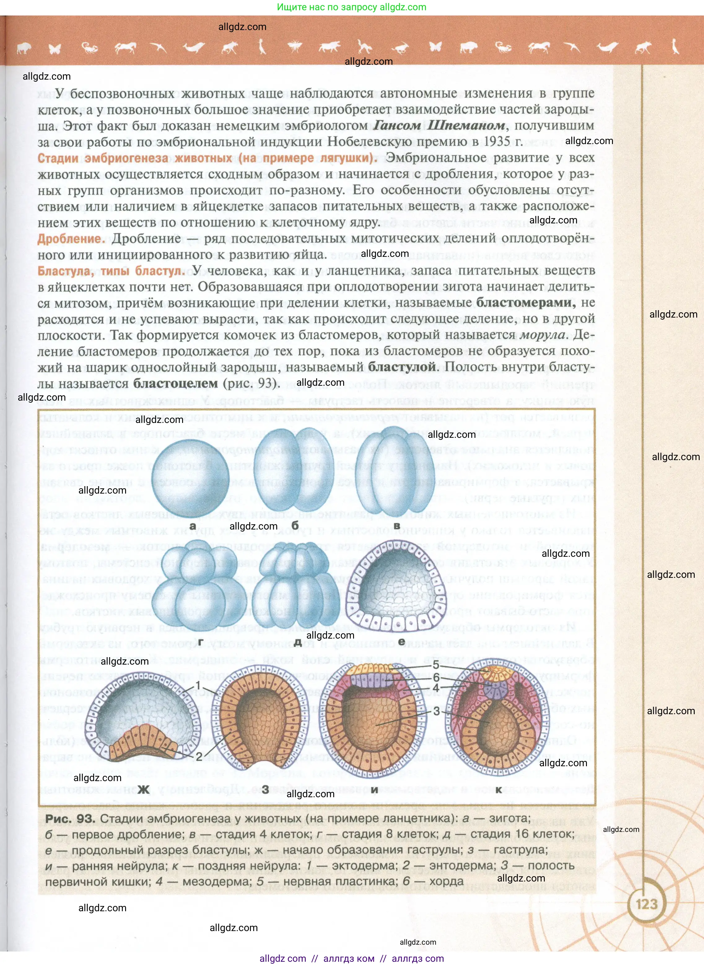 Биология, 10 класс Учебник, авторы: Пасечник Владимир Васильевич, Каменский Андрей Александрович, Рубцов Александр Михайлович, Швецов Глеб Геннадьевич, Абовян Леван Арташесович, Гапонюк Зоя Георгиевна, издательство Просвещение, Москва, 2024, коричневого цвета, страница 123