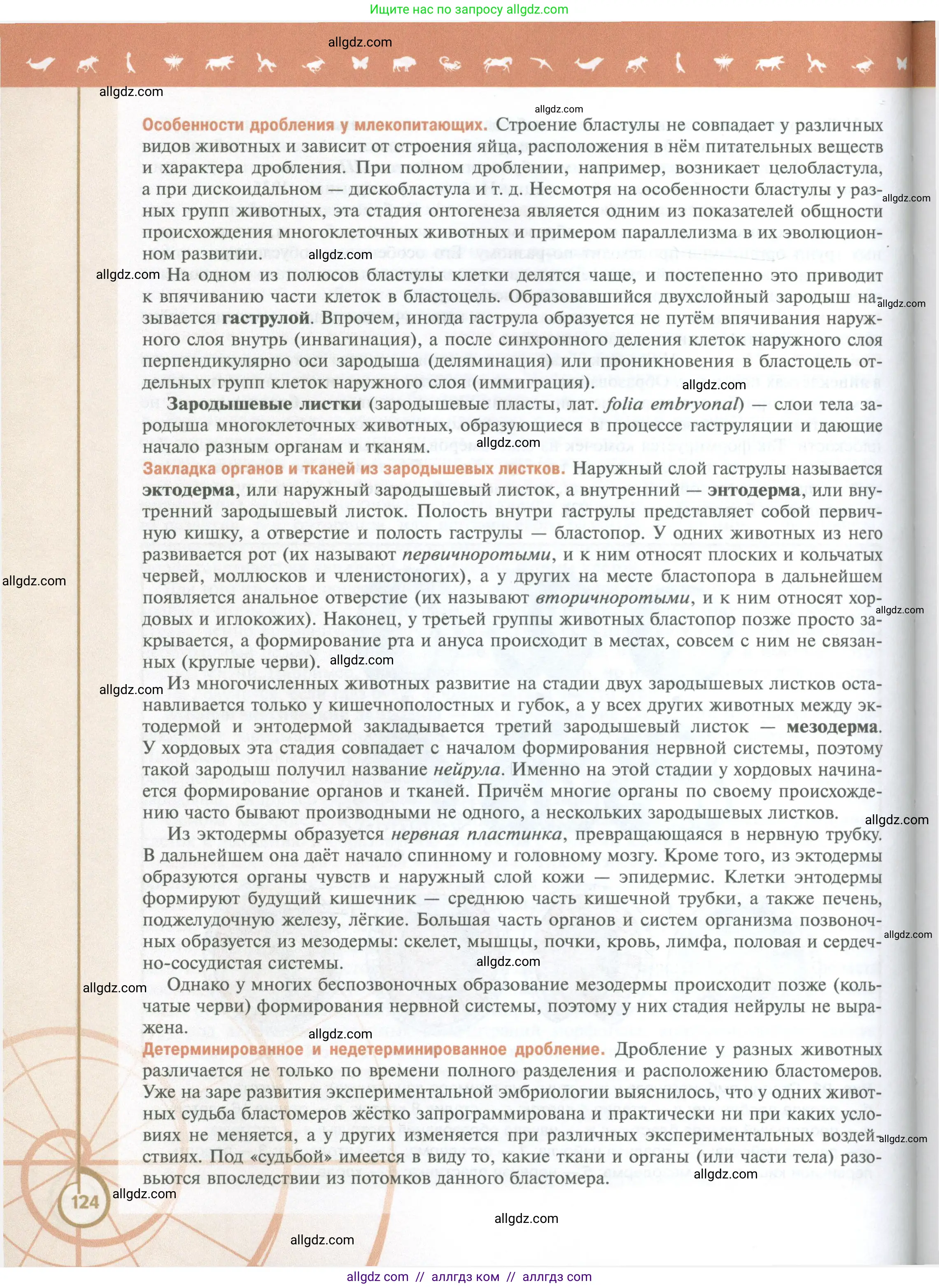 Биология, 10 класс Учебник, авторы: Пасечник Владимир Васильевич, Каменский Андрей Александрович, Рубцов Александр Михайлович, Швецов Глеб Геннадьевич, Абовян Леван Арташесович, Гапонюк Зоя Георгиевна, издательство Просвещение, Москва, 2024, коричневого цвета, страница 124