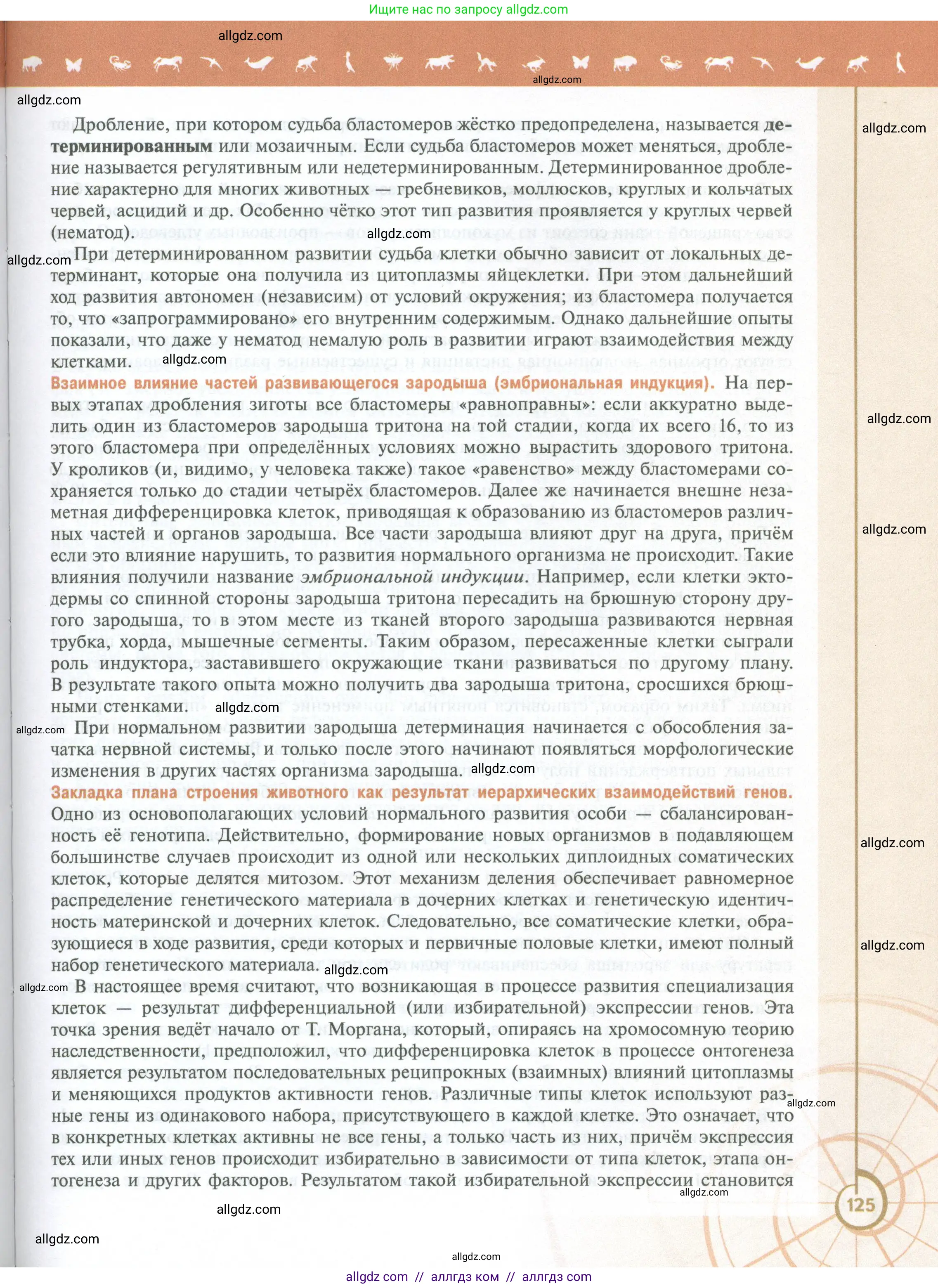 Биология, 10 класс Учебник, авторы: Пасечник Владимир Васильевич, Каменский Андрей Александрович, Рубцов Александр Михайлович, Швецов Глеб Геннадьевич, Абовян Леван Арташесович, Гапонюк Зоя Георгиевна, издательство Просвещение, Москва, 2024, коричневого цвета, страница 125