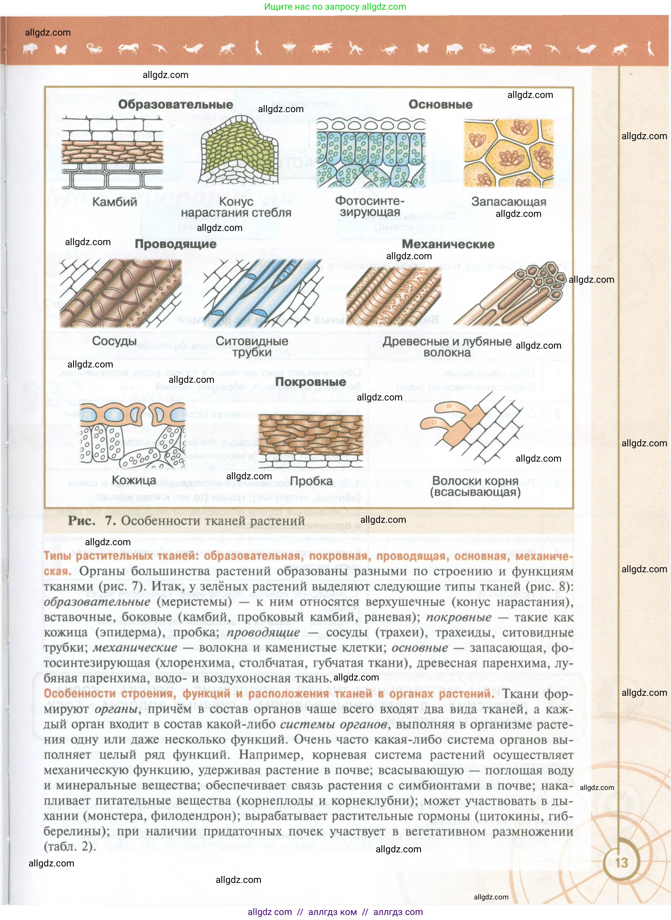 Биология, 10 класс Учебник, авторы: Пасечник Владимир Васильевич, Каменский Андрей Александрович, Рубцов Александр Михайлович, Швецов Глеб Геннадьевич, Абовян Леван Арташесович, Гапонюк Зоя Георгиевна, издательство Просвещение, Москва, 2024, коричневого цвета, страница 13