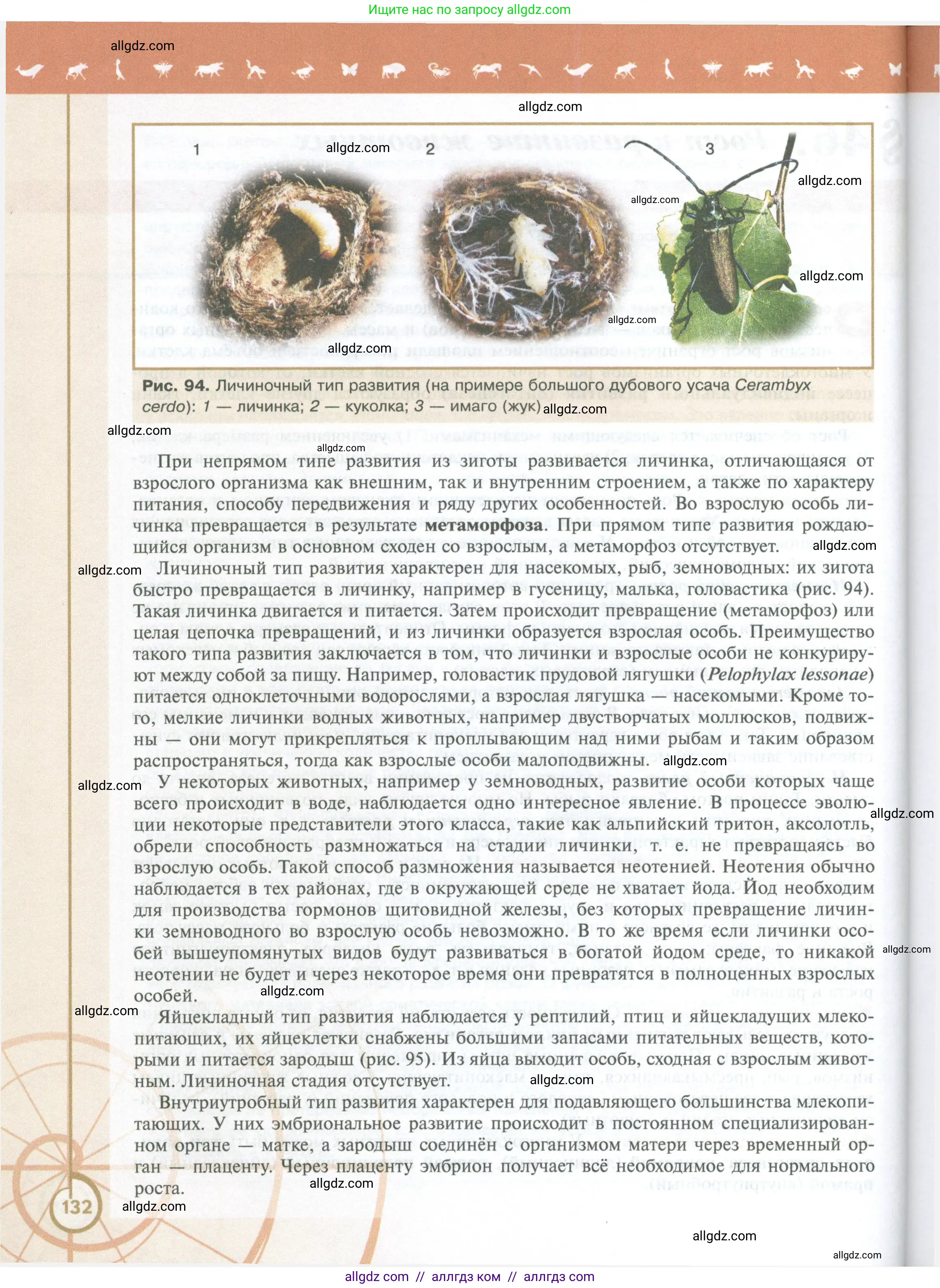 Биология, 10 класс Учебник, авторы: Пасечник Владимир Васильевич, Каменский Андрей Александрович, Рубцов Александр Михайлович, Швецов Глеб Геннадьевич, Абовян Леван Арташесович, Гапонюк Зоя Георгиевна, издательство Просвещение, Москва, 2024, коричневого цвета, страница 132