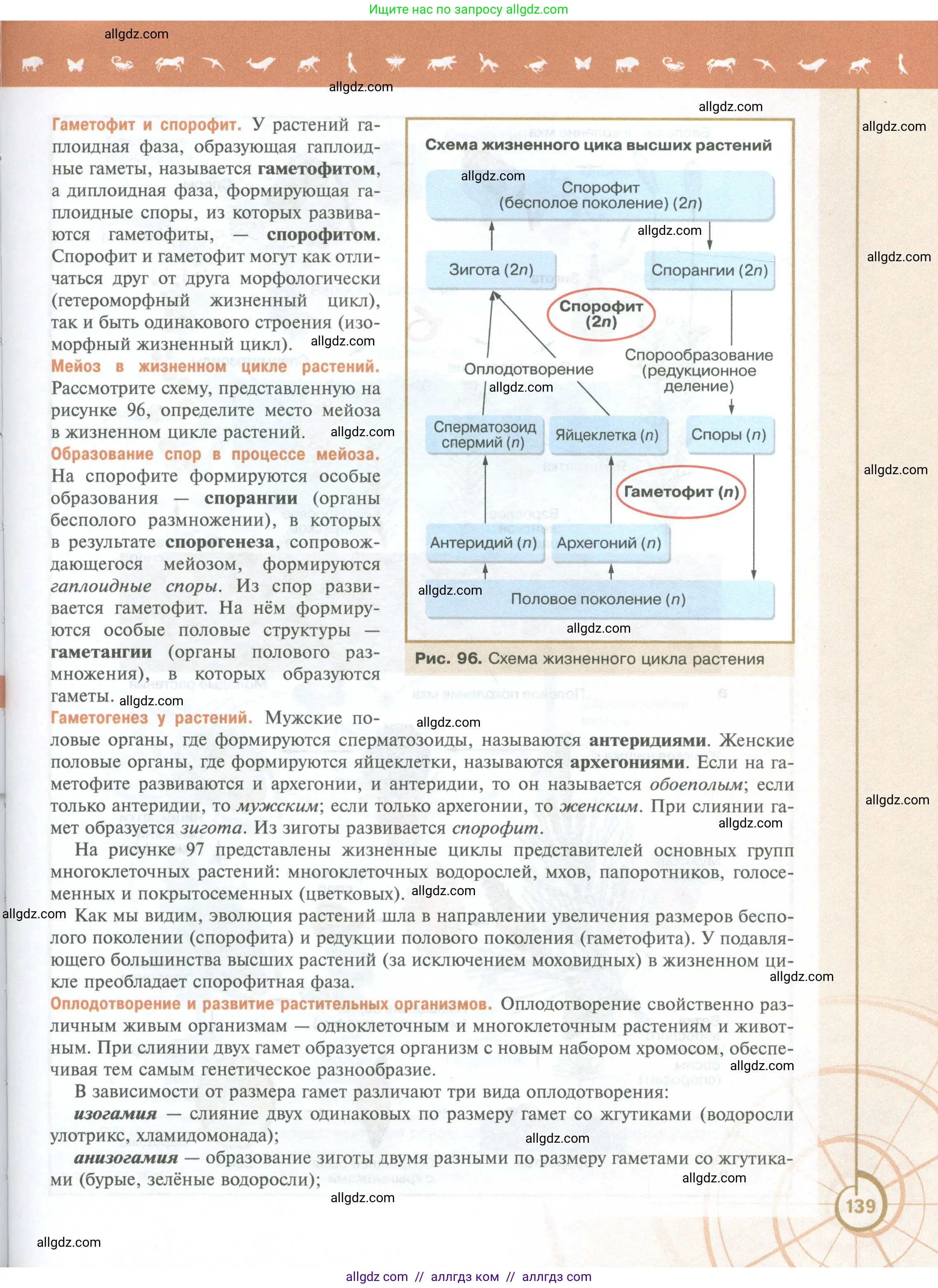 Биология, 10 класс Учебник, авторы: Пасечник Владимир Васильевич, Каменский Андрей Александрович, Рубцов Александр Михайлович, Швецов Глеб Геннадьевич, Абовян Леван Арташесович, Гапонюк Зоя Георгиевна, издательство Просвещение, Москва, 2024, коричневого цвета, страница 139