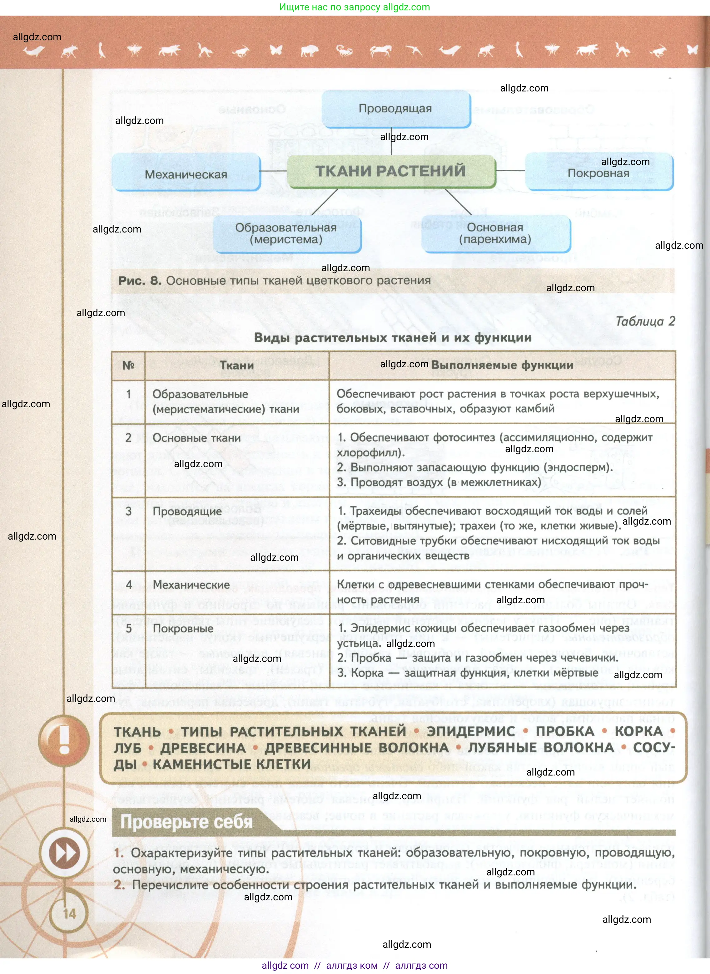 Биология, 10 класс Учебник, авторы: Пасечник Владимир Васильевич, Каменский Андрей Александрович, Рубцов Александр Михайлович, Швецов Глеб Геннадьевич, Абовян Леван Арташесович, Гапонюк Зоя Георгиевна, издательство Просвещение, Москва, 2024, коричневого цвета, Часть 2, страница 14