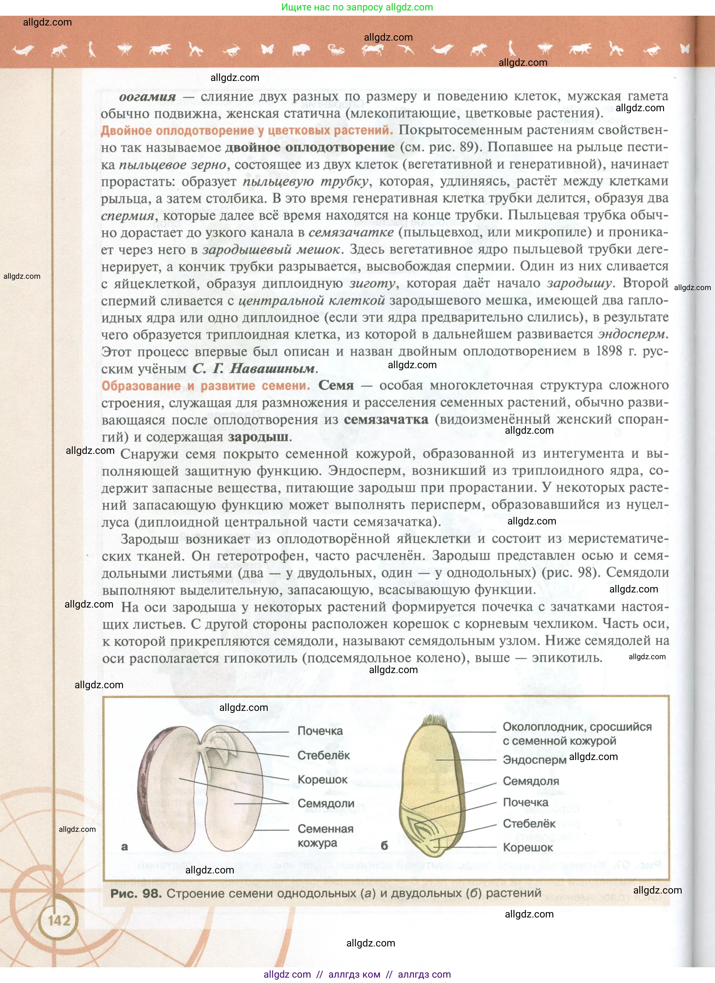 Биология, 10 класс Учебник, авторы: Пасечник Владимир Васильевич, Каменский Андрей Александрович, Рубцов Александр Михайлович, Швецов Глеб Геннадьевич, Абовян Леван Арташесович, Гапонюк Зоя Георгиевна, издательство Просвещение, Москва, 2024, коричневого цвета, страница 142