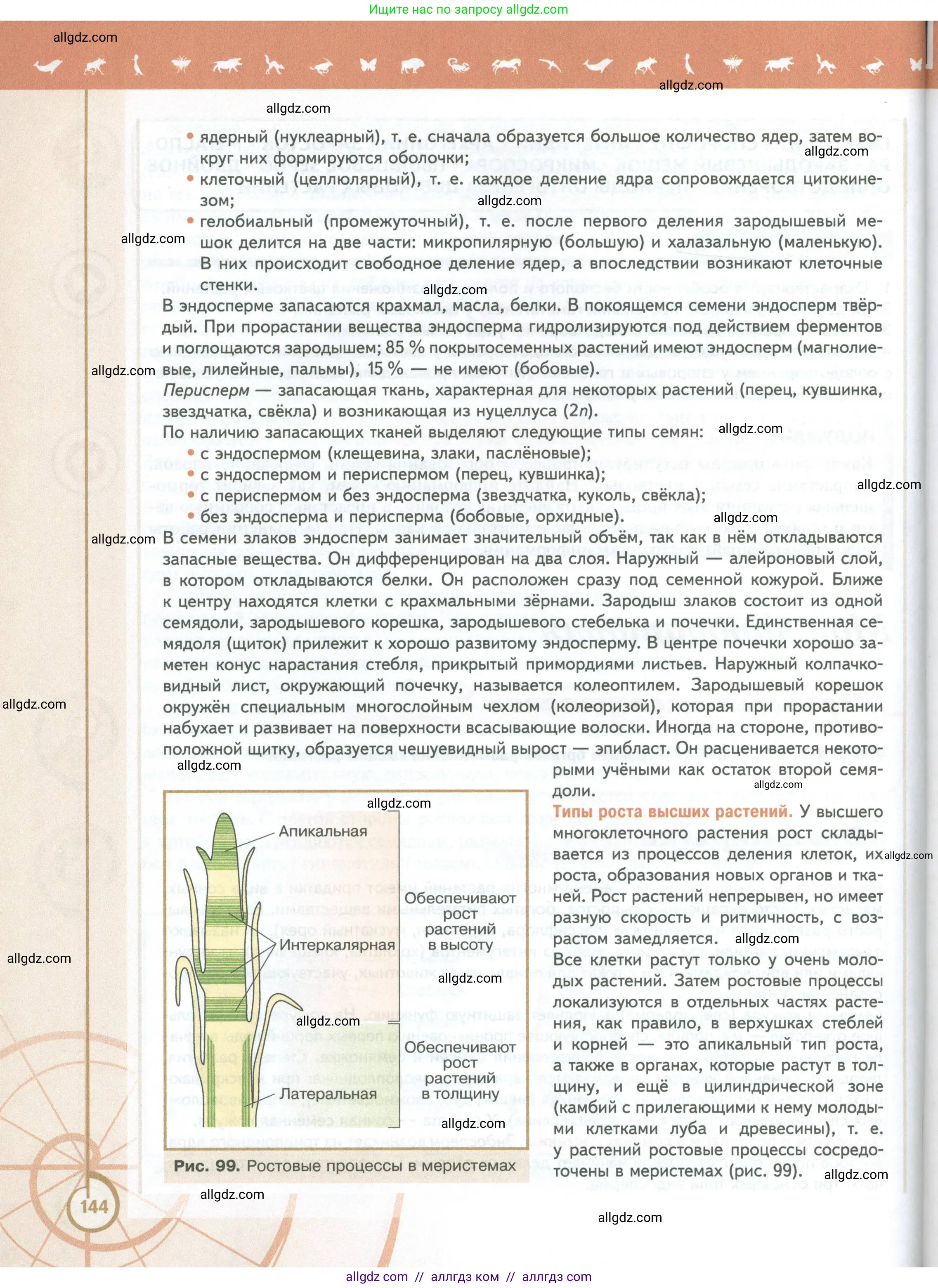 Биология, 10 класс Учебник, авторы: Пасечник Владимир Васильевич, Каменский Андрей Александрович, Рубцов Александр Михайлович, Швецов Глеб Геннадьевич, Абовян Леван Арташесович, Гапонюк Зоя Георгиевна, издательство Просвещение, Москва, 2024, коричневого цвета, страница 144