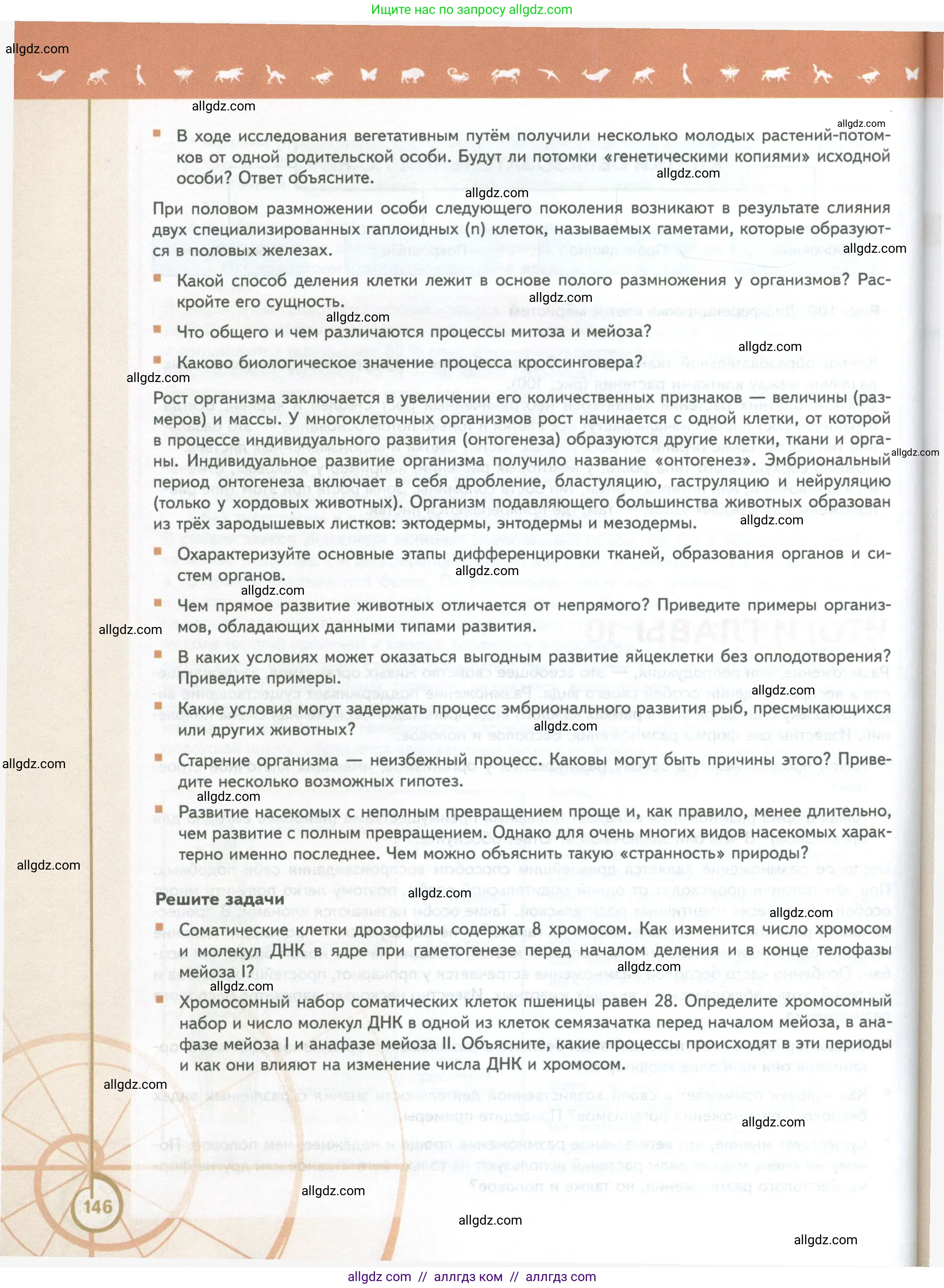 Биология, 10 класс Учебник, авторы: Пасечник Владимир Васильевич, Каменский Андрей Александрович, Рубцов Александр Михайлович, Швецов Глеб Геннадьевич, Абовян Леван Арташесович, Гапонюк Зоя Георгиевна, издательство Просвещение, Москва, 2024, коричневого цвета, Часть 2, страница 146