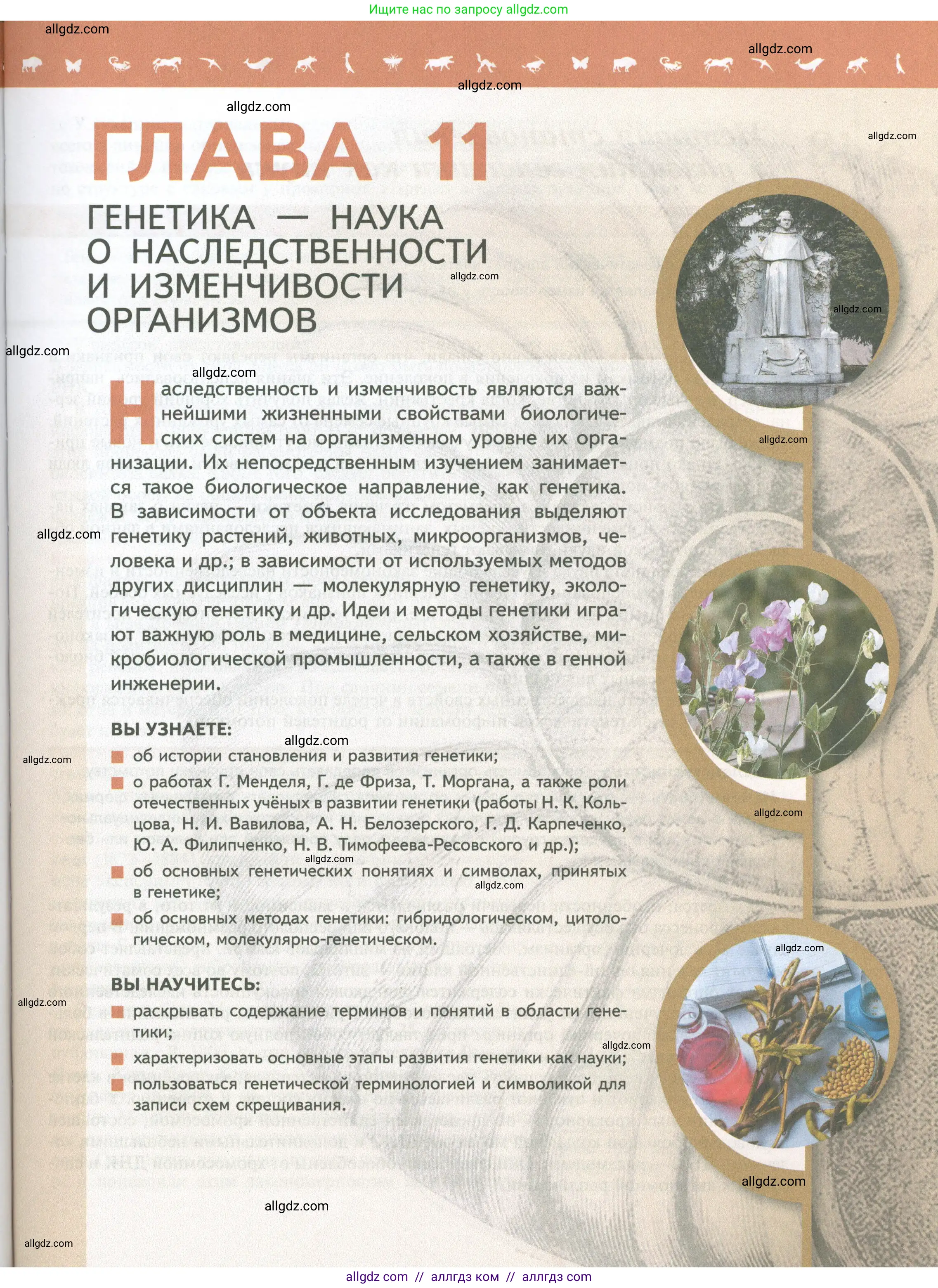 Биология, 10 класс Учебник, авторы: Пасечник Владимир Васильевич, Каменский Андрей Александрович, Рубцов Александр Михайлович, Швецов Глеб Геннадьевич, Абовян Леван Арташесович, Гапонюк Зоя Георгиевна, издательство Просвещение, Москва, 2024, коричневого цвета, страница 147