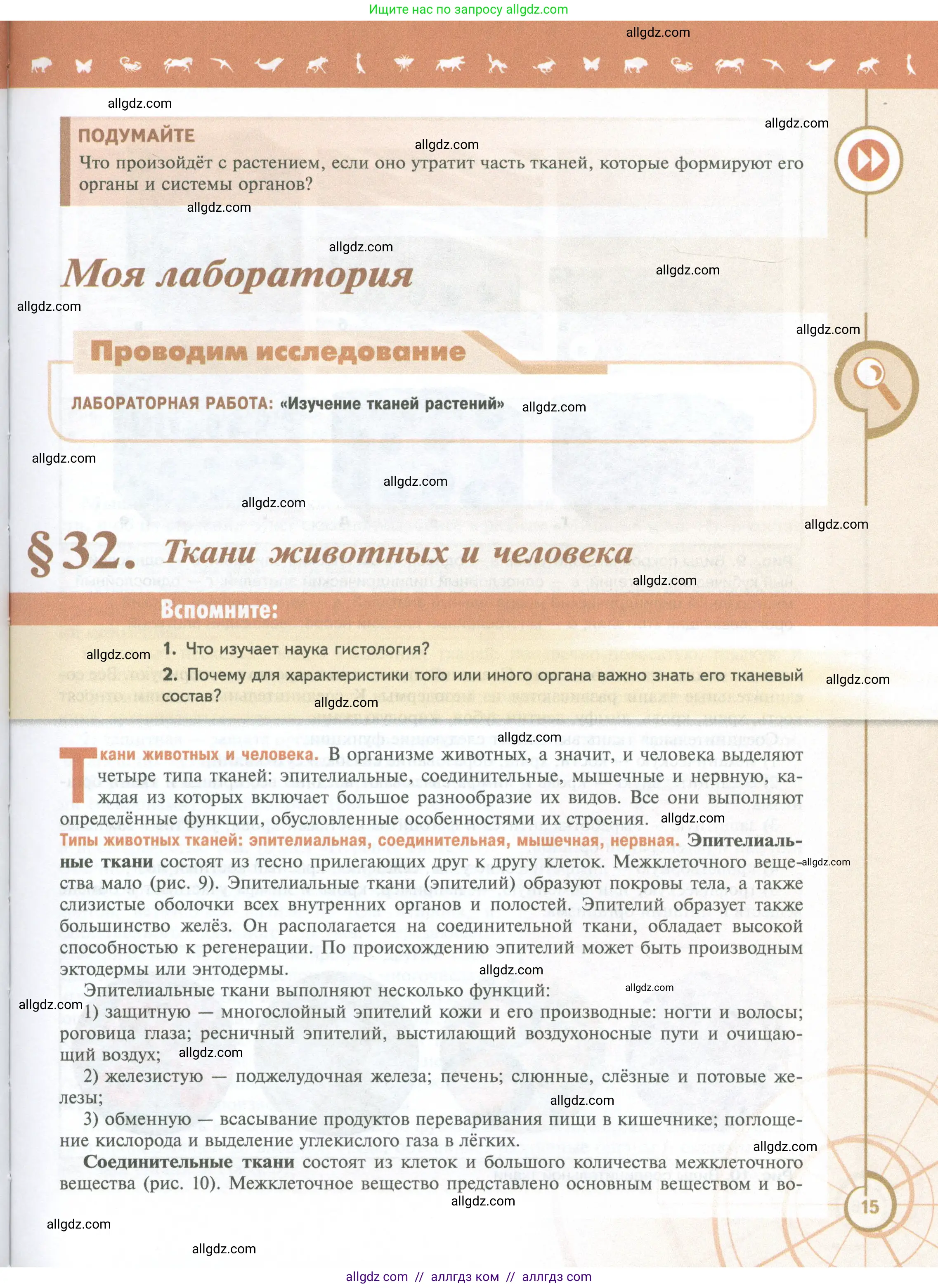 Биология, 10 класс Учебник, авторы: Пасечник Владимир Васильевич, Каменский Андрей Александрович, Рубцов Александр Михайлович, Швецов Глеб Геннадьевич, Абовян Леван Арташесович, Гапонюк Зоя Георгиевна, издательство Просвещение, Москва, 2024, коричневого цвета, Часть 2, страница 15