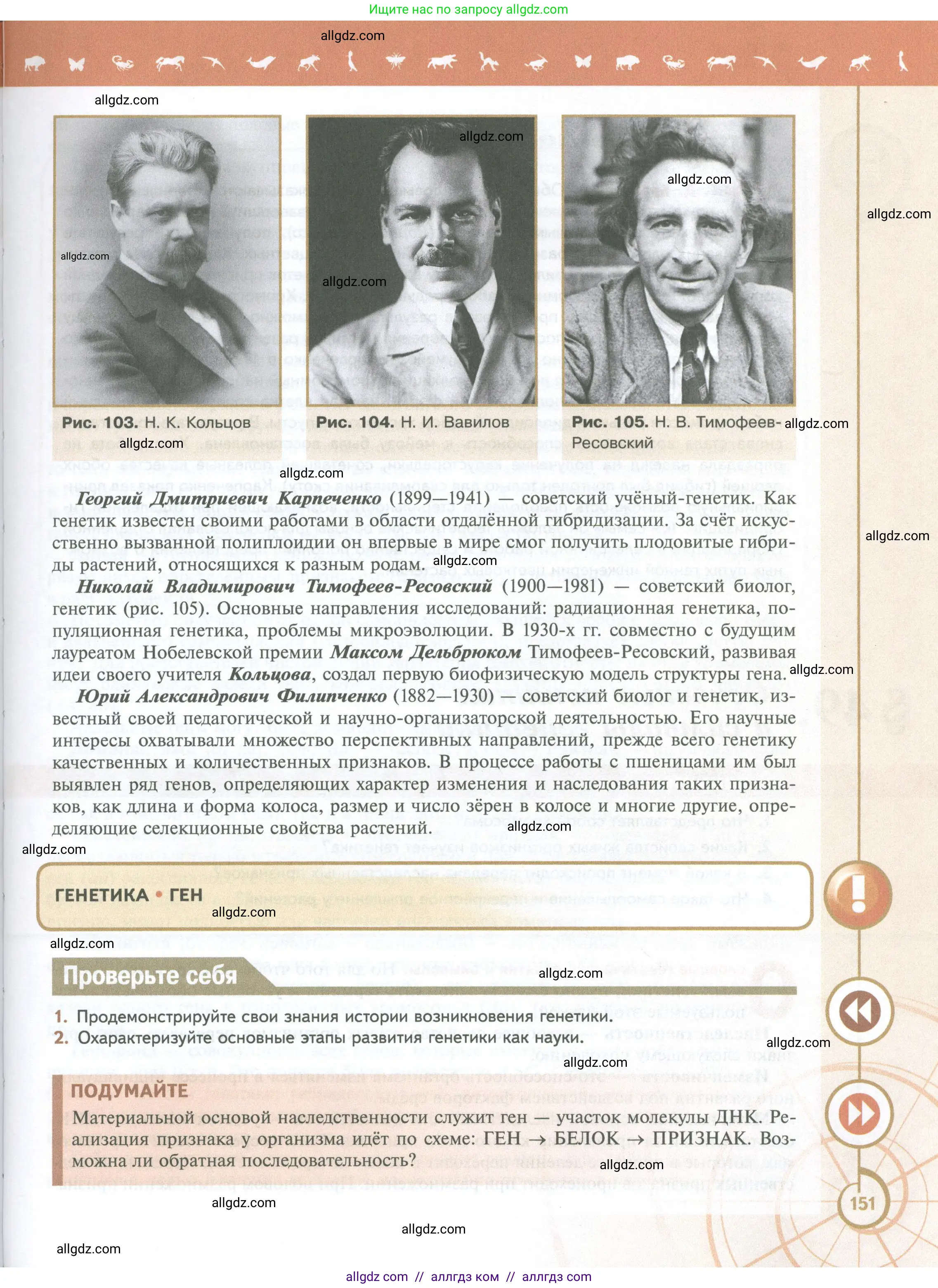 Биология, 10 класс Учебник, авторы: Пасечник Владимир Васильевич, Каменский Андрей Александрович, Рубцов Александр Михайлович, Швецов Глеб Геннадьевич, Абовян Леван Арташесович, Гапонюк Зоя Георгиевна, издательство Просвещение, Москва, 2024, коричневого цвета, Часть 2, страница 151