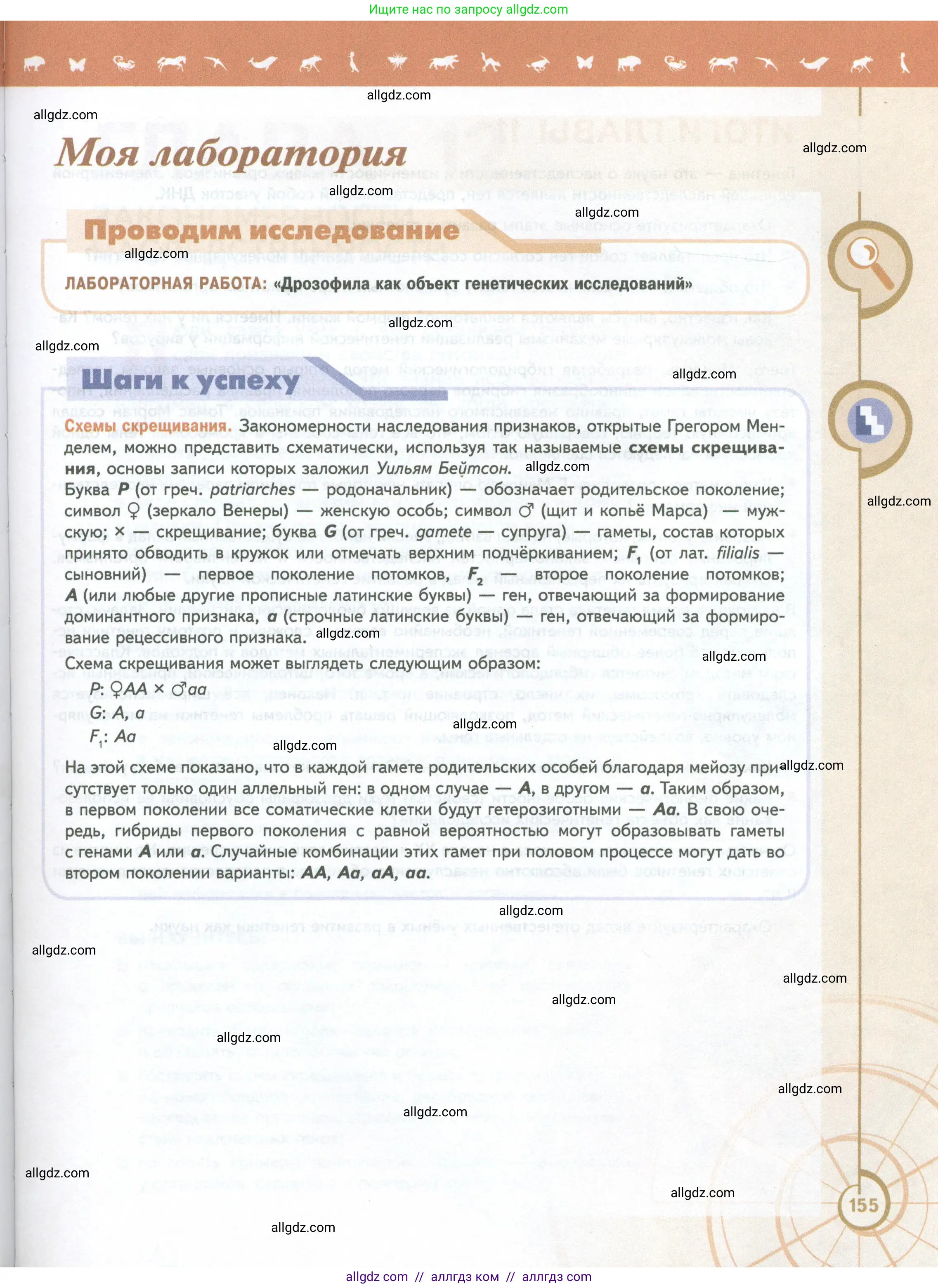 Биология, 10 класс Учебник, авторы: Пасечник Владимир Васильевич, Каменский Андрей Александрович, Рубцов Александр Михайлович, Швецов Глеб Геннадьевич, Абовян Леван Арташесович, Гапонюк Зоя Георгиевна, издательство Просвещение, Москва, 2024, коричневого цвета, страница 155