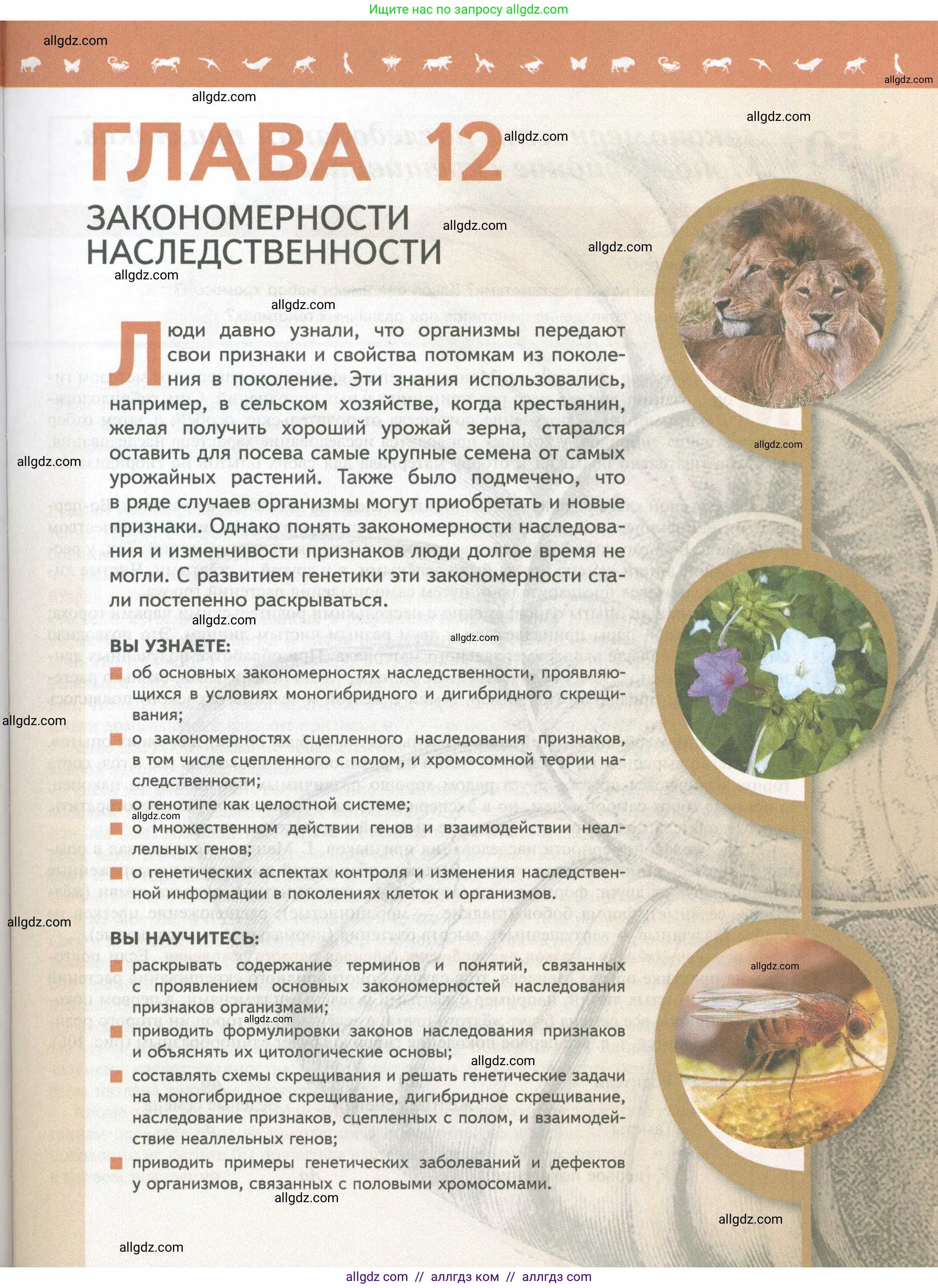 Биология, 10 класс Учебник, авторы: Пасечник Владимир Васильевич, Каменский Андрей Александрович, Рубцов Александр Михайлович, Швецов Глеб Геннадьевич, Абовян Леван Арташесович, Гапонюк Зоя Георгиевна, издательство Просвещение, Москва, 2024, коричневого цвета, страница 157