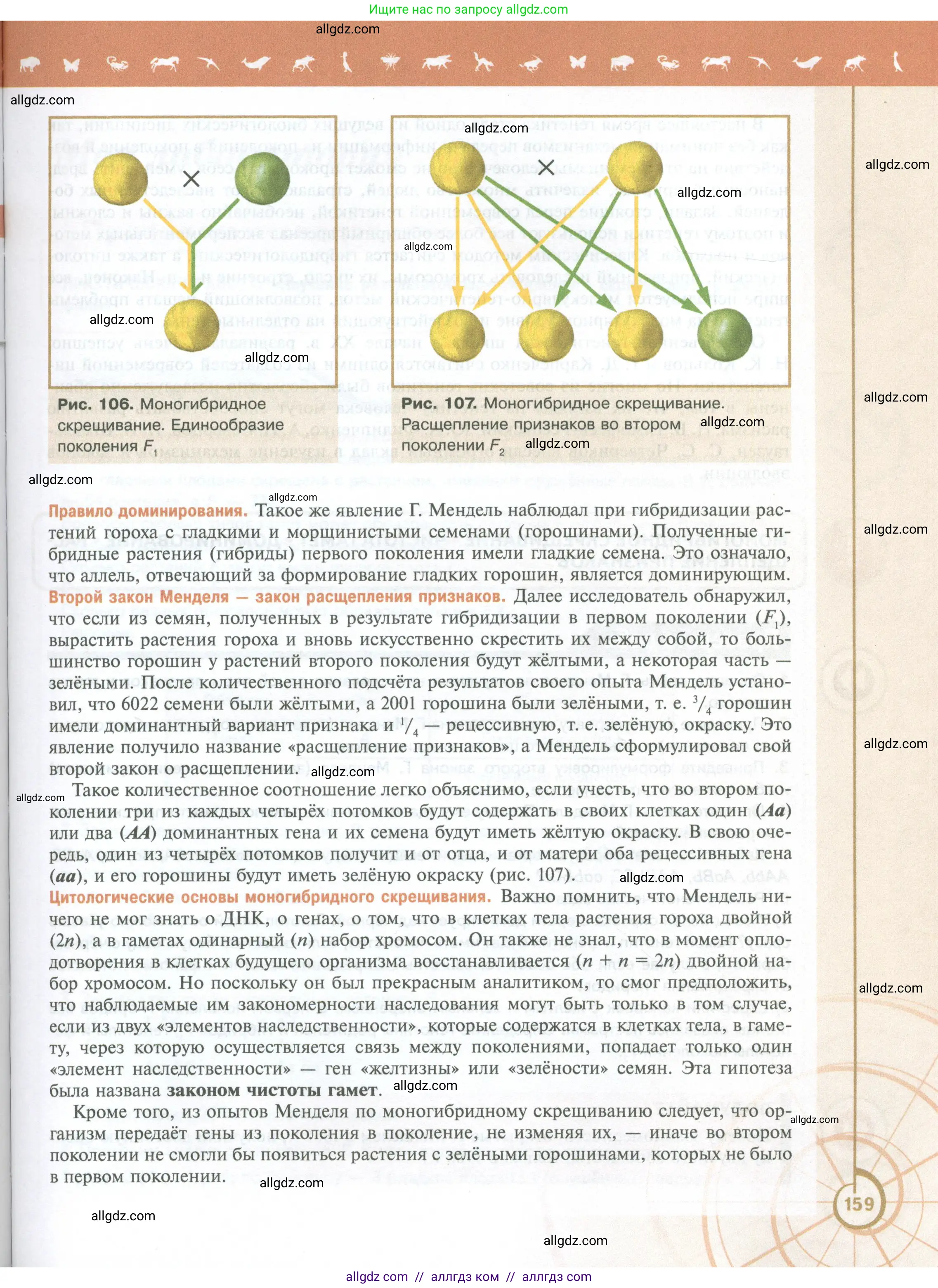 Биология, 10 класс Учебник, авторы: Пасечник Владимир Васильевич, Каменский Андрей Александрович, Рубцов Александр Михайлович, Швецов Глеб Геннадьевич, Абовян Леван Арташесович, Гапонюк Зоя Георгиевна, издательство Просвещение, Москва, 2024, коричневого цвета, страница 159