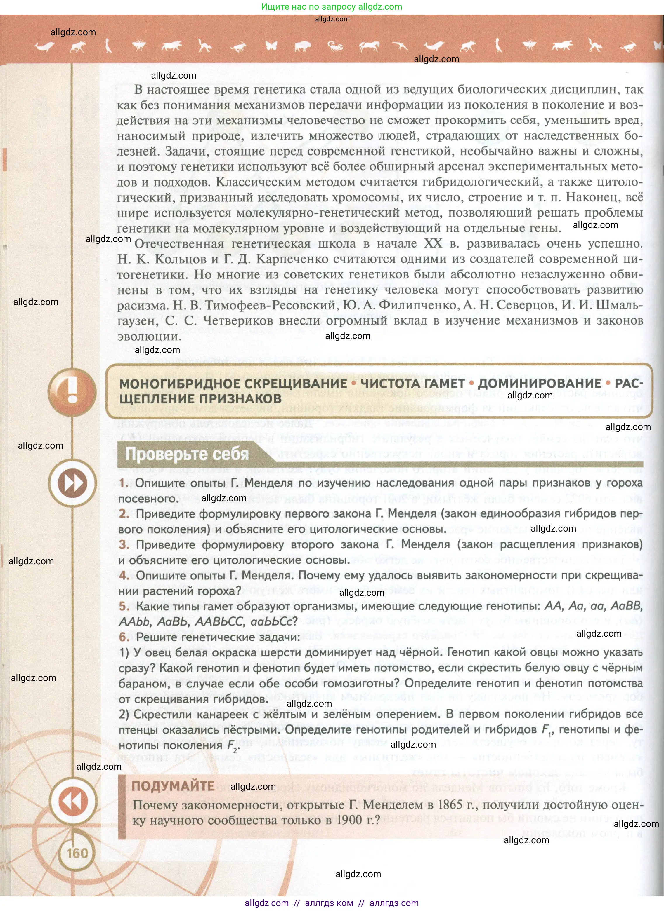 Биология, 10 класс Учебник, авторы: Пасечник Владимир Васильевич, Каменский Андрей Александрович, Рубцов Александр Михайлович, Швецов Глеб Геннадьевич, Абовян Леван Арташесович, Гапонюк Зоя Георгиевна, издательство Просвещение, Москва, 2024, коричневого цвета, Часть 2, страница 160