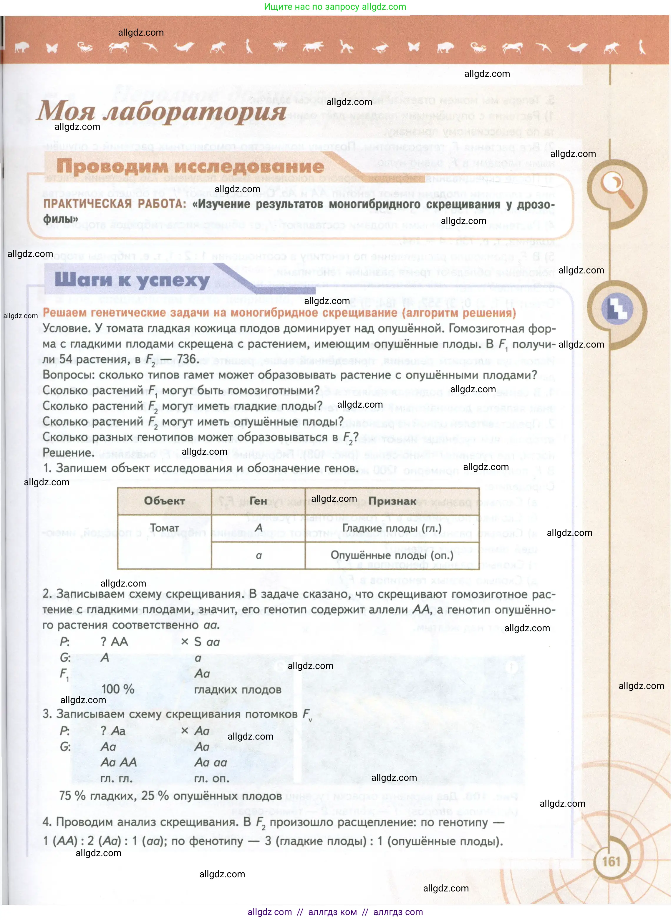 Биология, 10 класс Учебник, авторы: Пасечник Владимир Васильевич, Каменский Андрей Александрович, Рубцов Александр Михайлович, Швецов Глеб Геннадьевич, Абовян Леван Арташесович, Гапонюк Зоя Георгиевна, издательство Просвещение, Москва, 2024, коричневого цвета, страница 161