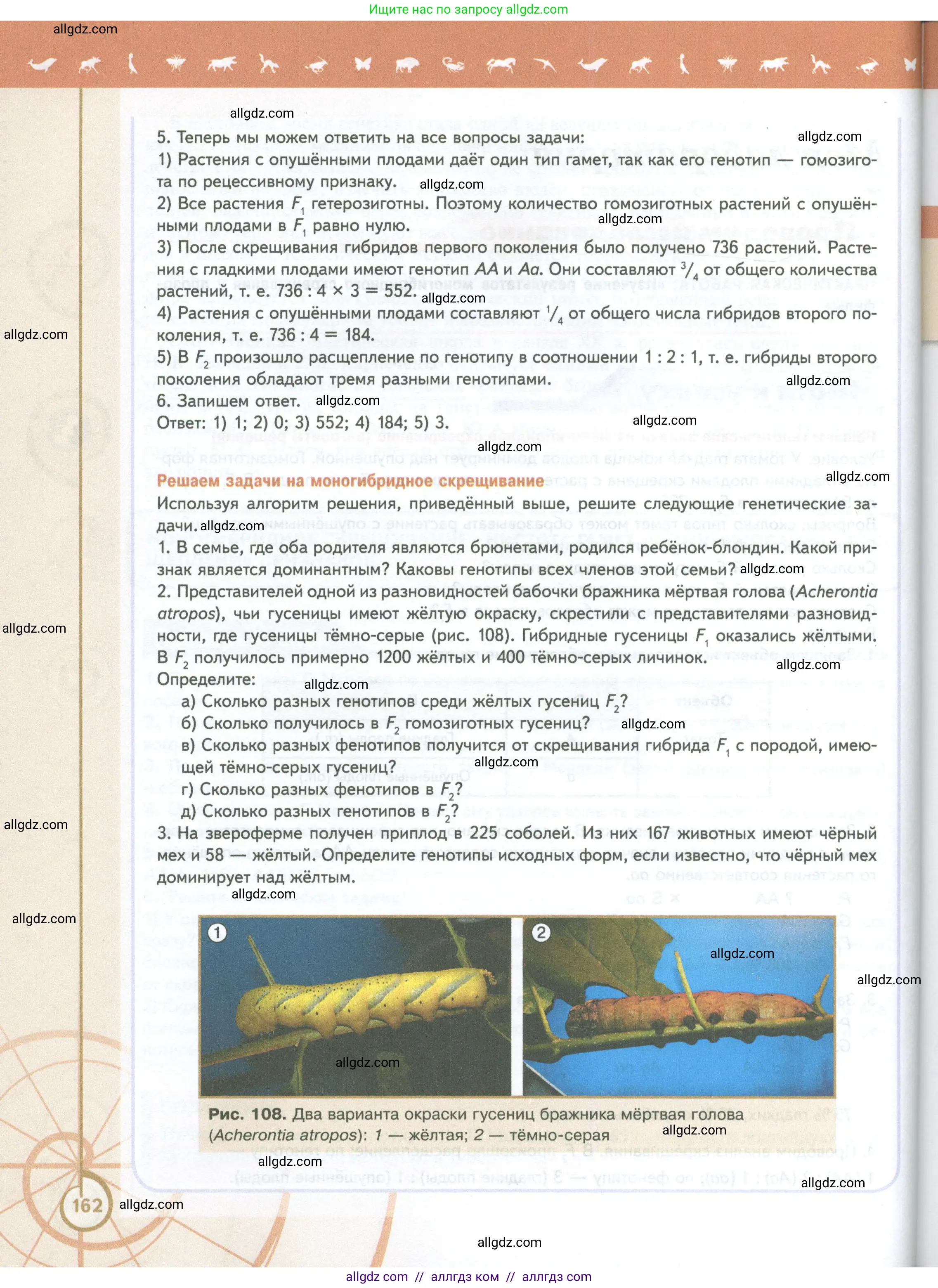 Биология, 10 класс Учебник, авторы: Пасечник Владимир Васильевич, Каменский Андрей Александрович, Рубцов Александр Михайлович, Швецов Глеб Геннадьевич, Абовян Леван Арташесович, Гапонюк Зоя Георгиевна, издательство Просвещение, Москва, 2024, коричневого цвета, Часть 2, страница 162