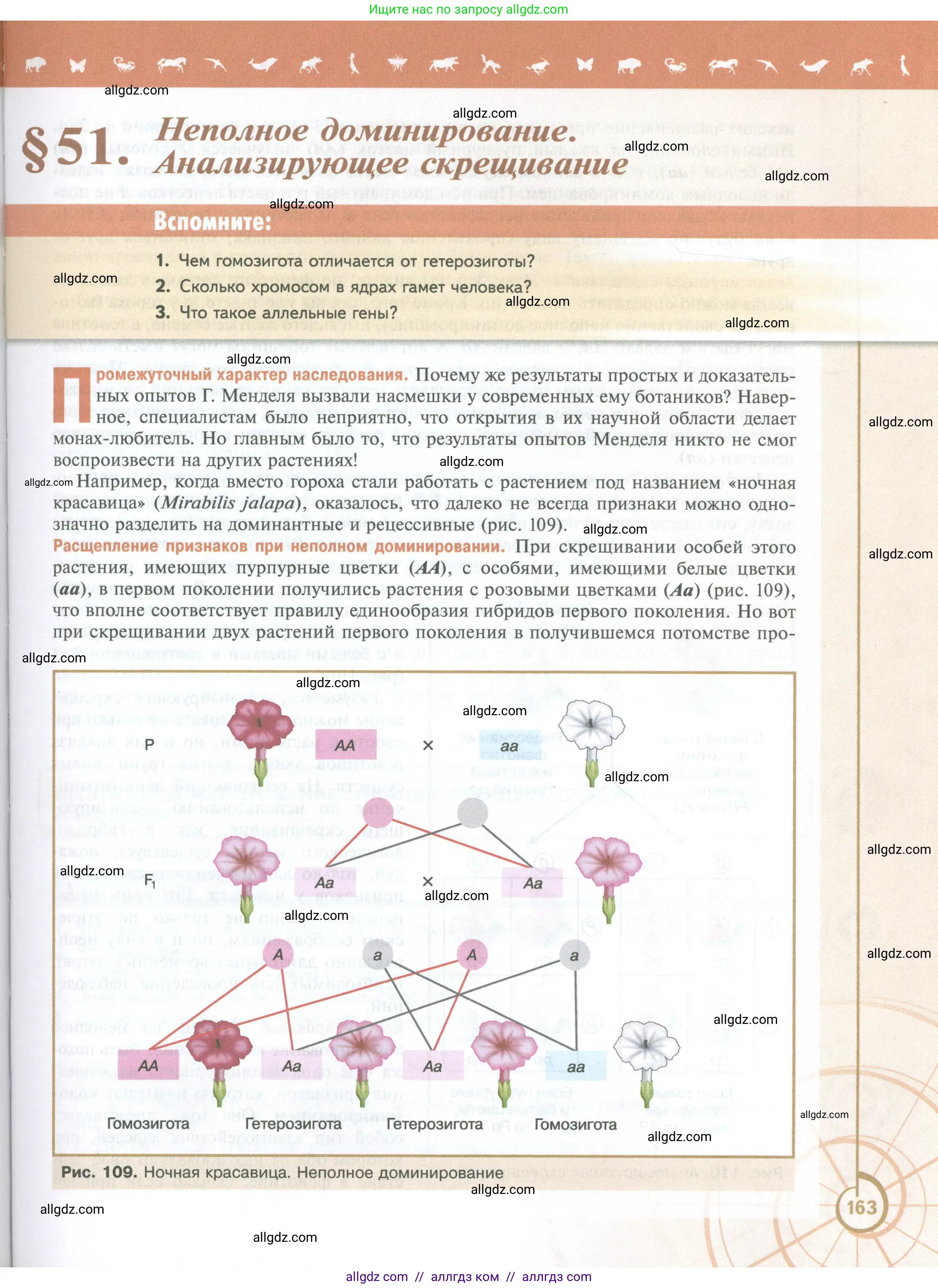 Биология, 10 класс Учебник, авторы: Пасечник Владимир Васильевич, Каменский Андрей Александрович, Рубцов Александр Михайлович, Швецов Глеб Геннадьевич, Абовян Леван Арташесович, Гапонюк Зоя Георгиевна, издательство Просвещение, Москва, 2024, коричневого цвета, Часть 2, страница 163