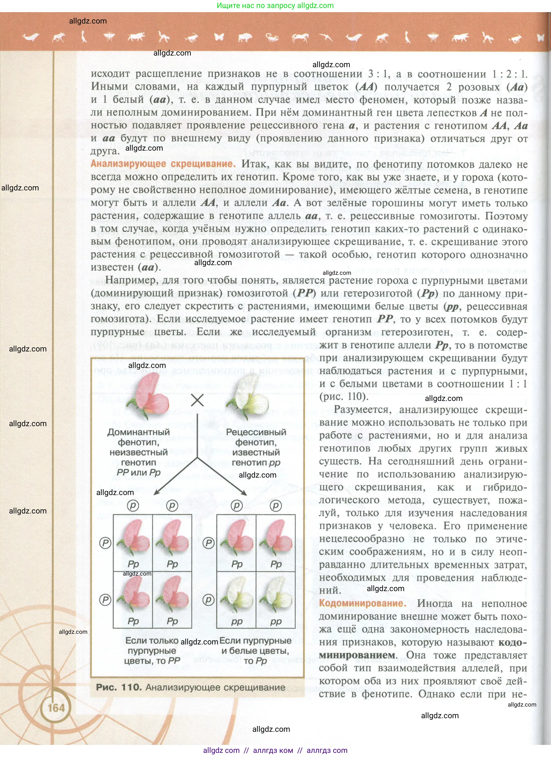 Биология, 10 класс Учебник, авторы: Пасечник Владимир Васильевич, Каменский Андрей Александрович, Рубцов Александр Михайлович, Швецов Глеб Геннадьевич, Абовян Леван Арташесович, Гапонюк Зоя Георгиевна, издательство Просвещение, Москва, 2024, коричневого цвета, страница 164