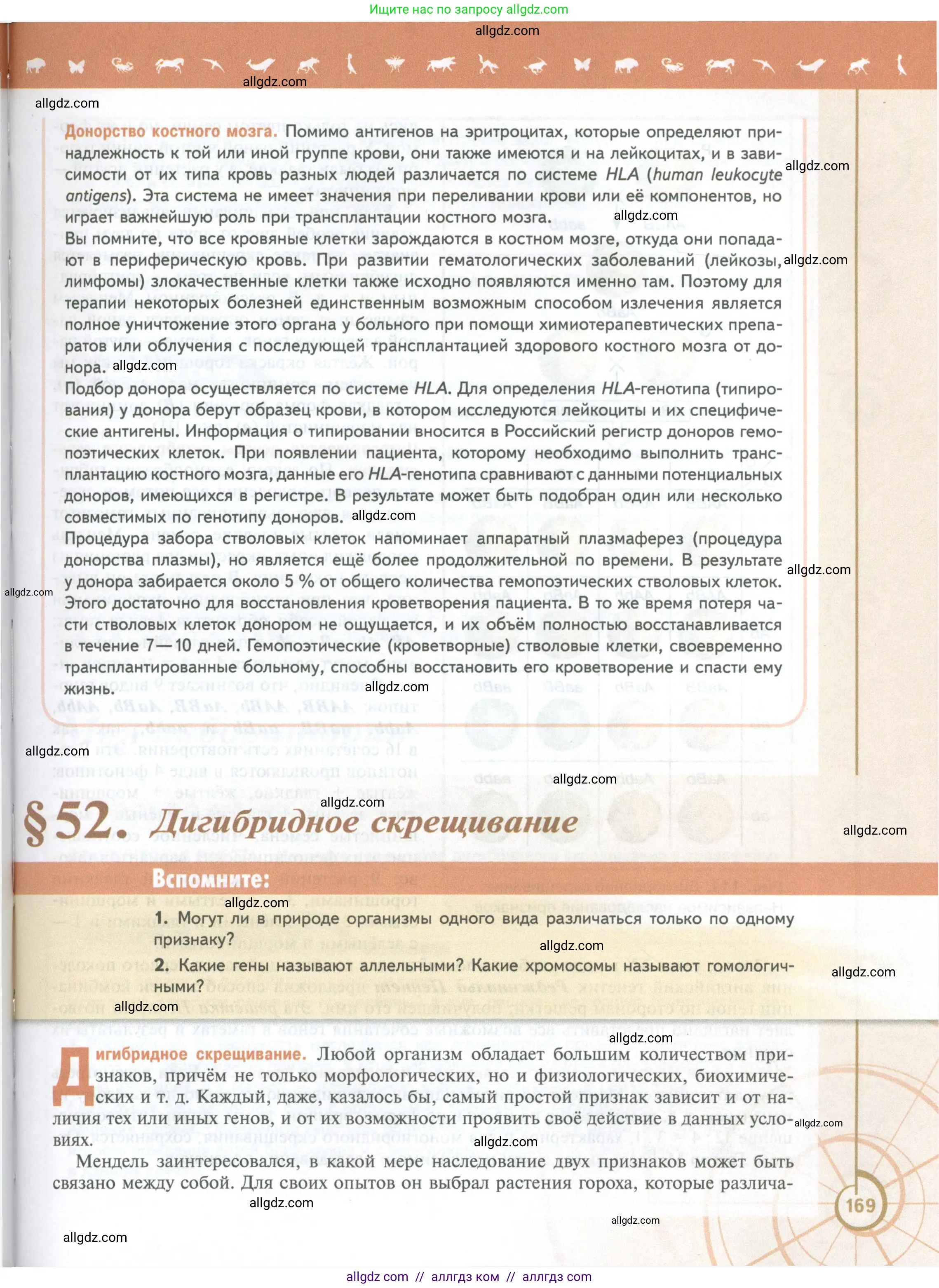 Биология, 10 класс Учебник, авторы: Пасечник Владимир Васильевич, Каменский Андрей Александрович, Рубцов Александр Михайлович, Швецов Глеб Геннадьевич, Абовян Леван Арташесович, Гапонюк Зоя Георгиевна, издательство Просвещение, Москва, 2024, коричневого цвета, Часть 2, страница 169