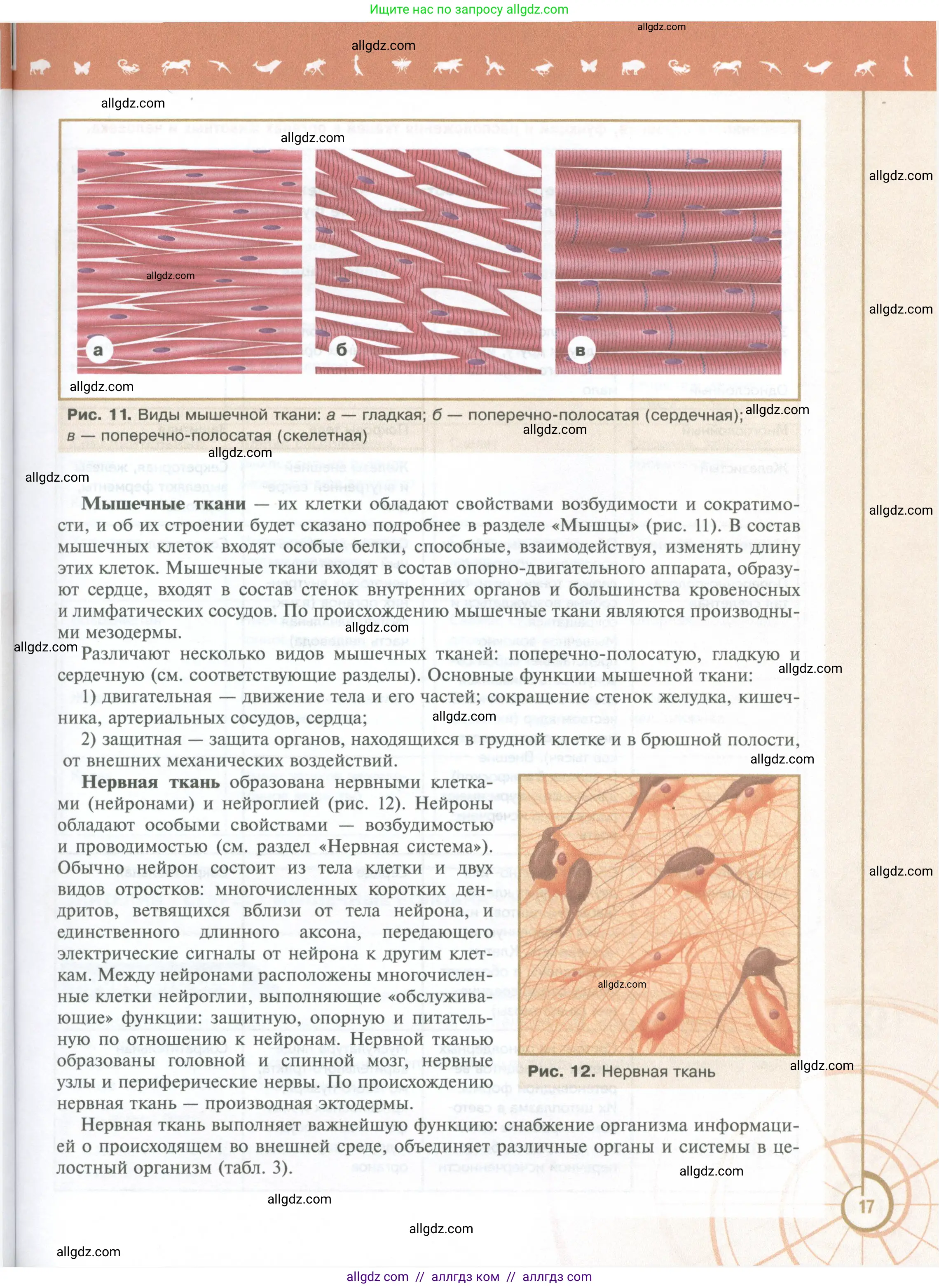 Биология, 10 класс Учебник, авторы: Пасечник Владимир Васильевич, Каменский Андрей Александрович, Рубцов Александр Михайлович, Швецов Глеб Геннадьевич, Абовян Леван Арташесович, Гапонюк Зоя Георгиевна, издательство Просвещение, Москва, 2024, коричневого цвета, страница 17