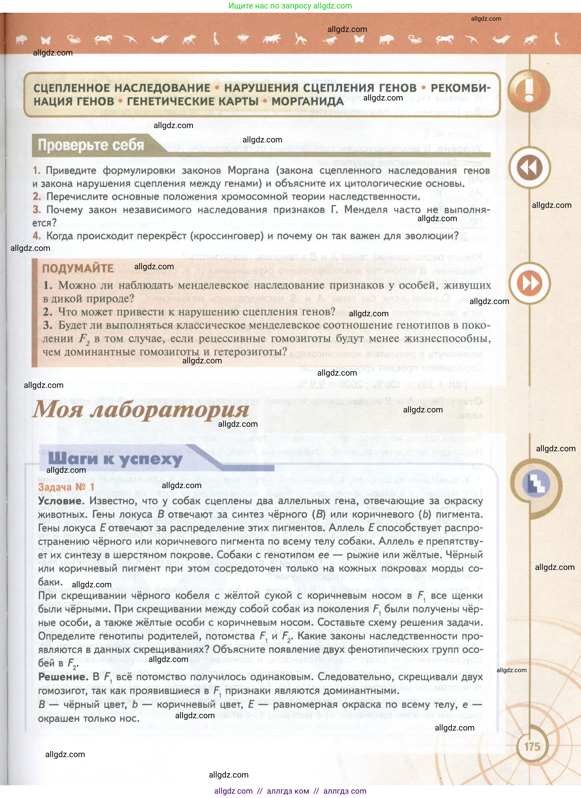 Биология, 10 класс Учебник, авторы: Пасечник Владимир Васильевич, Каменский Андрей Александрович, Рубцов Александр Михайлович, Швецов Глеб Геннадьевич, Абовян Леван Арташесович, Гапонюк Зоя Георгиевна, издательство Просвещение, Москва, 2024, коричневого цвета, Часть 2, страница 175
