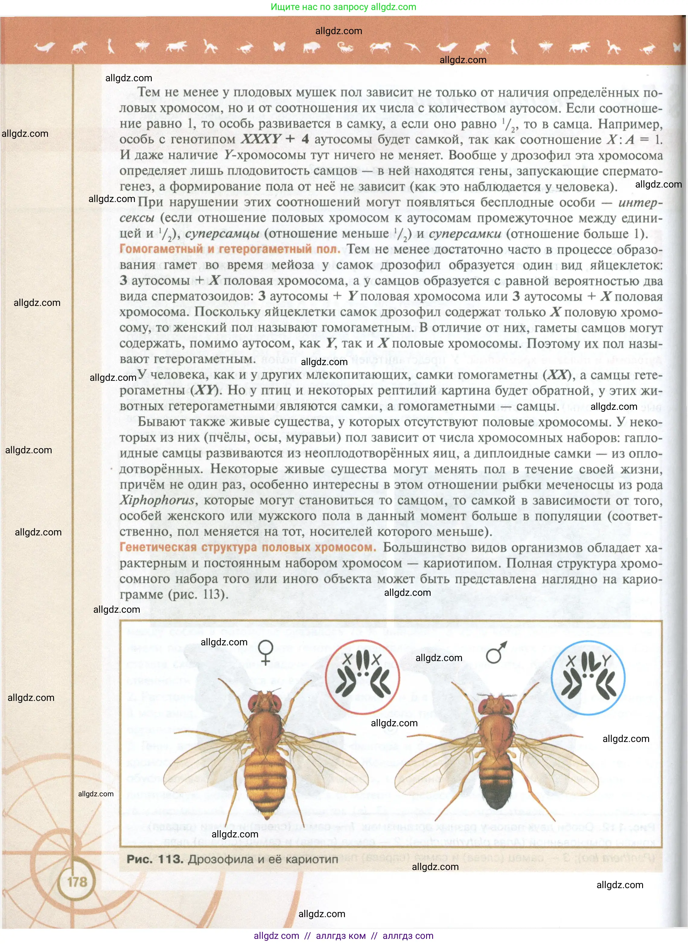 Биология, 10 класс Учебник, авторы: Пасечник Владимир Васильевич, Каменский Андрей Александрович, Рубцов Александр Михайлович, Швецов Глеб Геннадьевич, Абовян Леван Арташесович, Гапонюк Зоя Георгиевна, издательство Просвещение, Москва, 2024, коричневого цвета, страница 178
