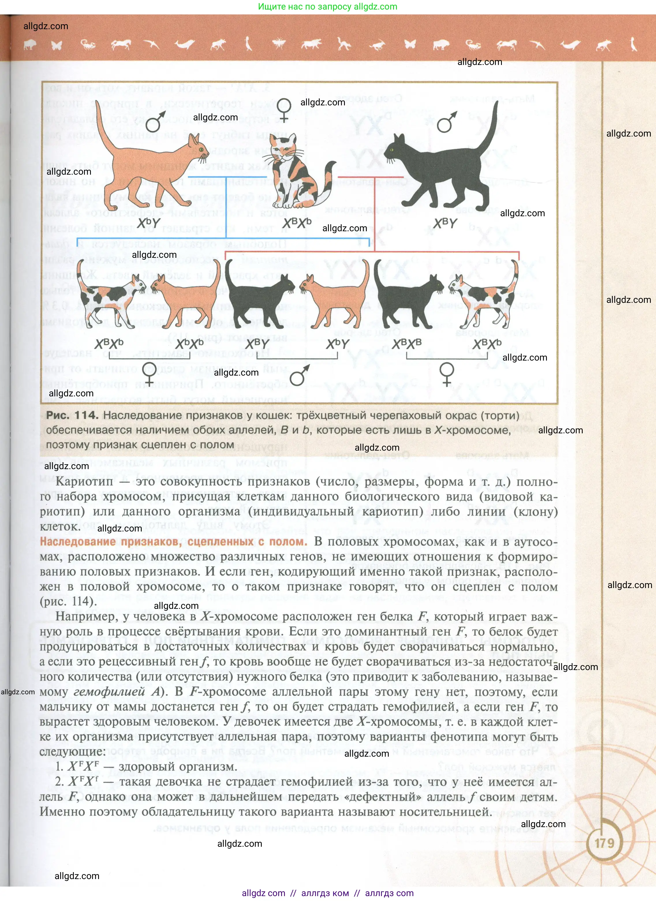 Биология, 10 класс Учебник, авторы: Пасечник Владимир Васильевич, Каменский Андрей Александрович, Рубцов Александр Михайлович, Швецов Глеб Геннадьевич, Абовян Леван Арташесович, Гапонюк Зоя Георгиевна, издательство Просвещение, Москва, 2024, коричневого цвета, страница 179