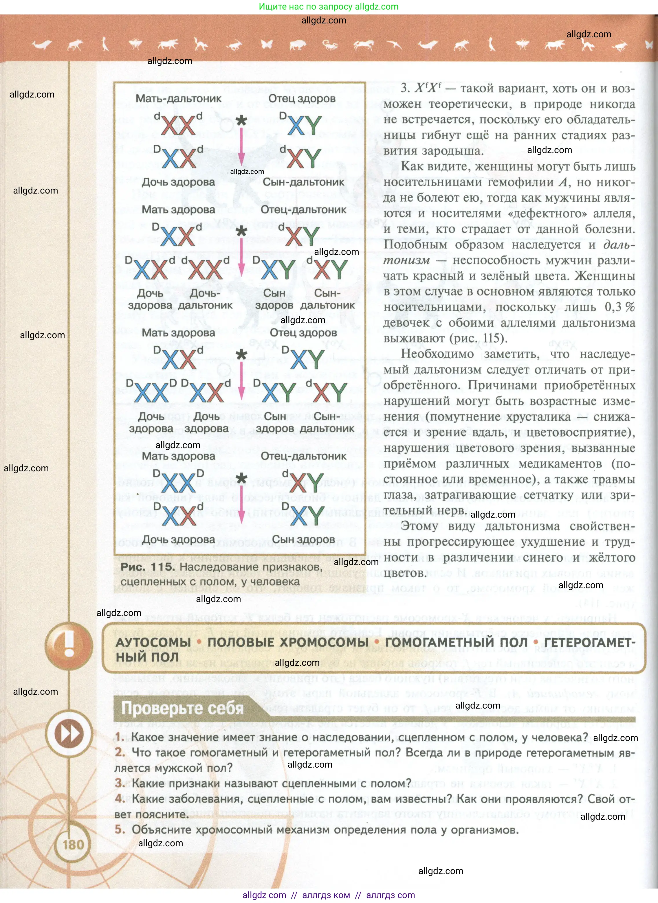 Биология, 10 класс Учебник, авторы: Пасечник Владимир Васильевич, Каменский Андрей Александрович, Рубцов Александр Михайлович, Швецов Глеб Геннадьевич, Абовян Леван Арташесович, Гапонюк Зоя Георгиевна, издательство Просвещение, Москва, 2024, коричневого цвета, Часть 2, страница 180
