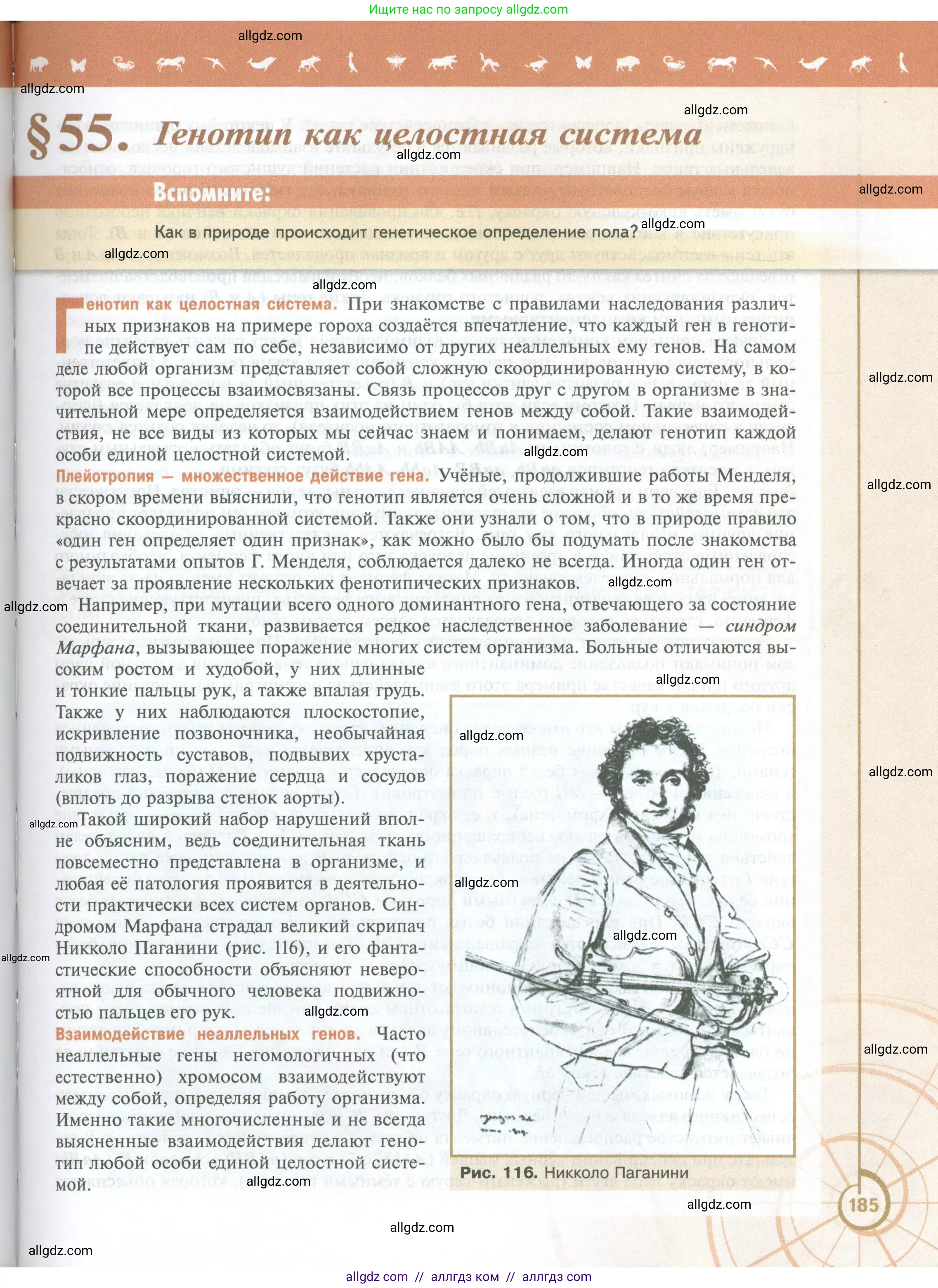 Биология, 10 класс Учебник, авторы: Пасечник Владимир Васильевич, Каменский Андрей Александрович, Рубцов Александр Михайлович, Швецов Глеб Геннадьевич, Абовян Леван Арташесович, Гапонюк Зоя Георгиевна, издательство Просвещение, Москва, 2024, коричневого цвета, Часть 2, страница 185