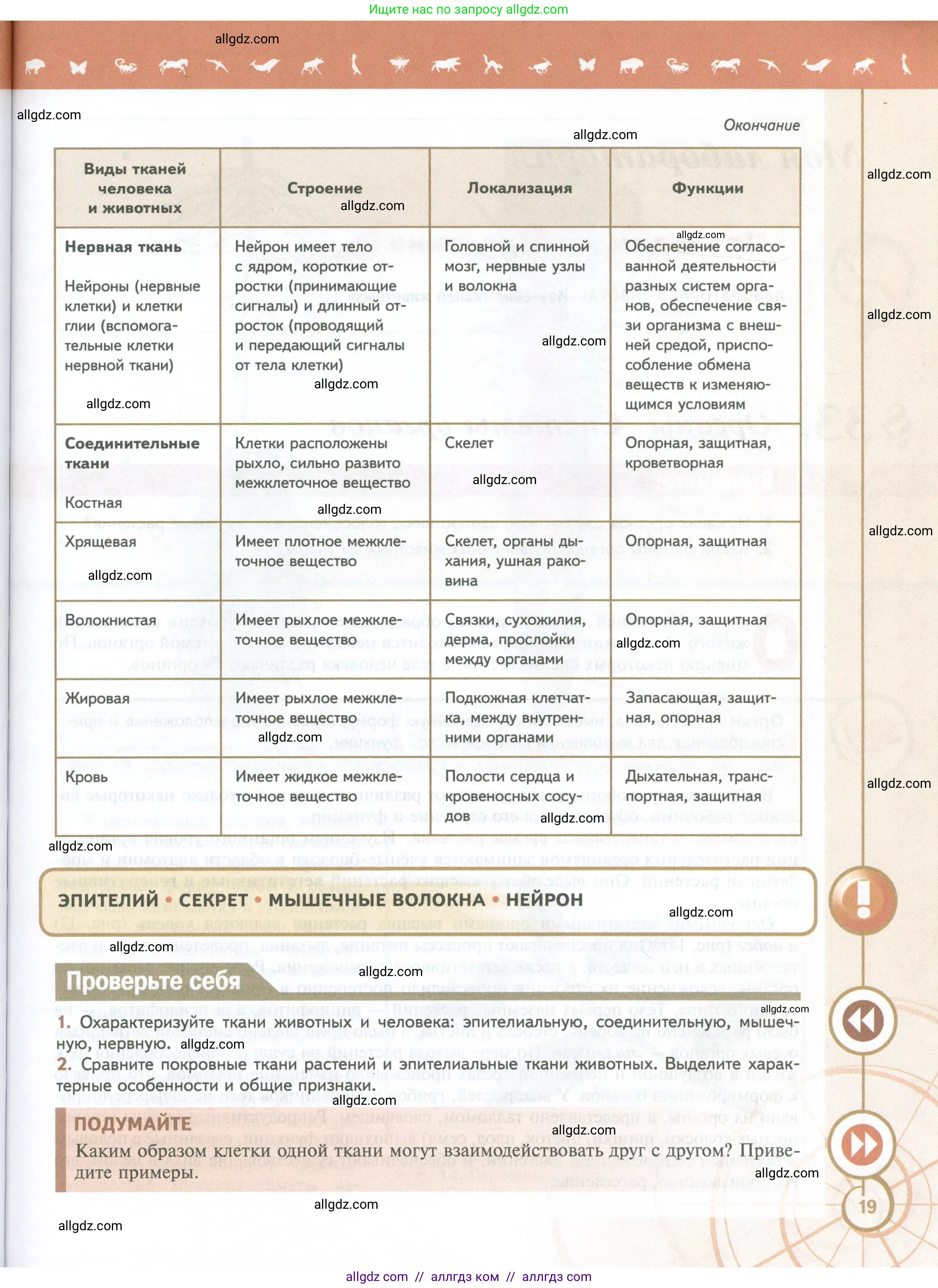 Биология, 10 класс Учебник, авторы: Пасечник Владимир Васильевич, Каменский Андрей Александрович, Рубцов Александр Михайлович, Швецов Глеб Геннадьевич, Абовян Леван Арташесович, Гапонюк Зоя Георгиевна, издательство Просвещение, Москва, 2024, коричневого цвета, Часть 2, страница 19