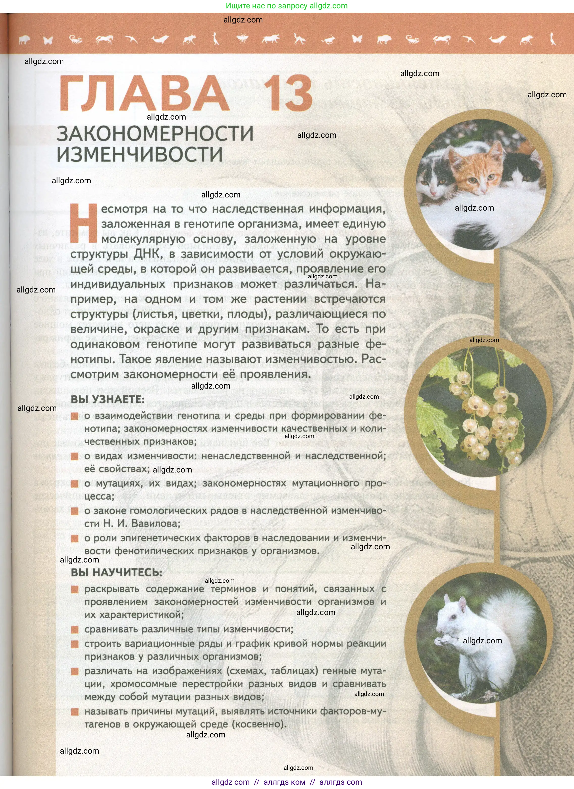 Биология, 10 класс Учебник, авторы: Пасечник Владимир Васильевич, Каменский Андрей Александрович, Рубцов Александр Михайлович, Швецов Глеб Геннадьевич, Абовян Леван Арташесович, Гапонюк Зоя Георгиевна, издательство Просвещение, Москва, 2024, коричневого цвета, страница 191