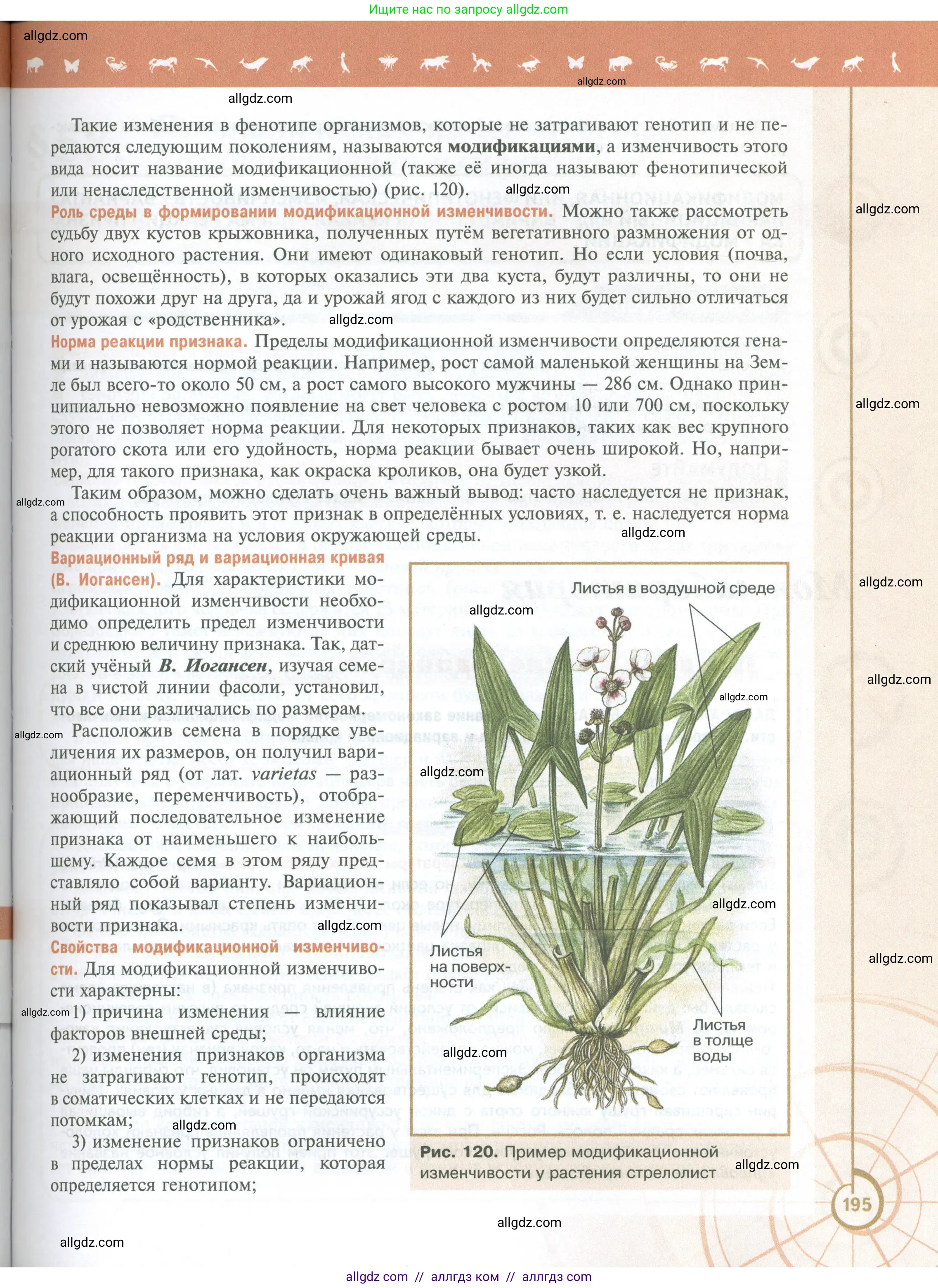 Биология, 10 класс Учебник, авторы: Пасечник Владимир Васильевич, Каменский Андрей Александрович, Рубцов Александр Михайлович, Швецов Глеб Геннадьевич, Абовян Леван Арташесович, Гапонюк Зоя Георгиевна, издательство Просвещение, Москва, 2024, коричневого цвета, страница 195