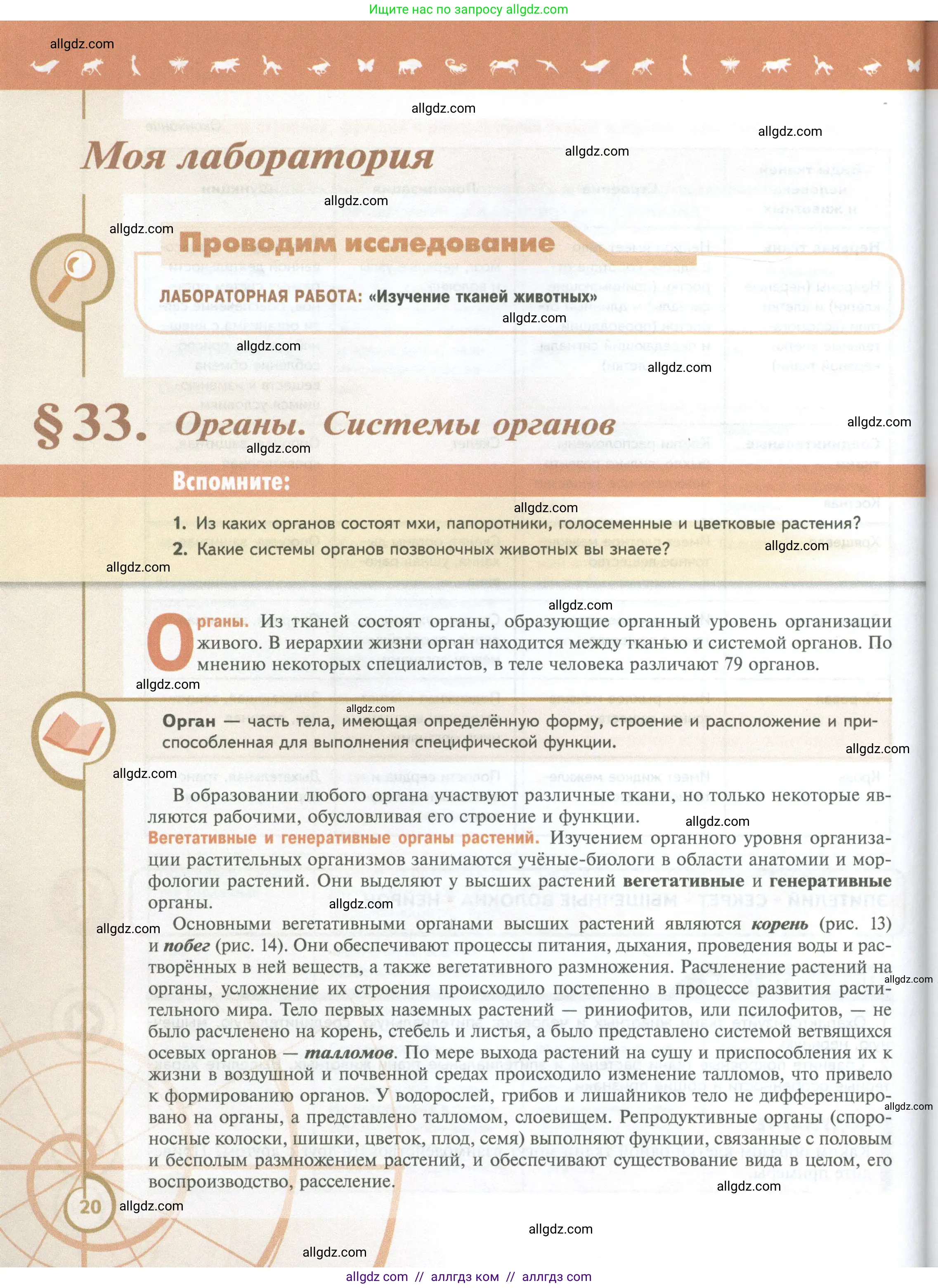 Биология, 10 класс Учебник, авторы: Пасечник Владимир Васильевич, Каменский Андрей Александрович, Рубцов Александр Михайлович, Швецов Глеб Геннадьевич, Абовян Леван Арташесович, Гапонюк Зоя Георгиевна, издательство Просвещение, Москва, 2024, коричневого цвета, Часть 2, страница 20