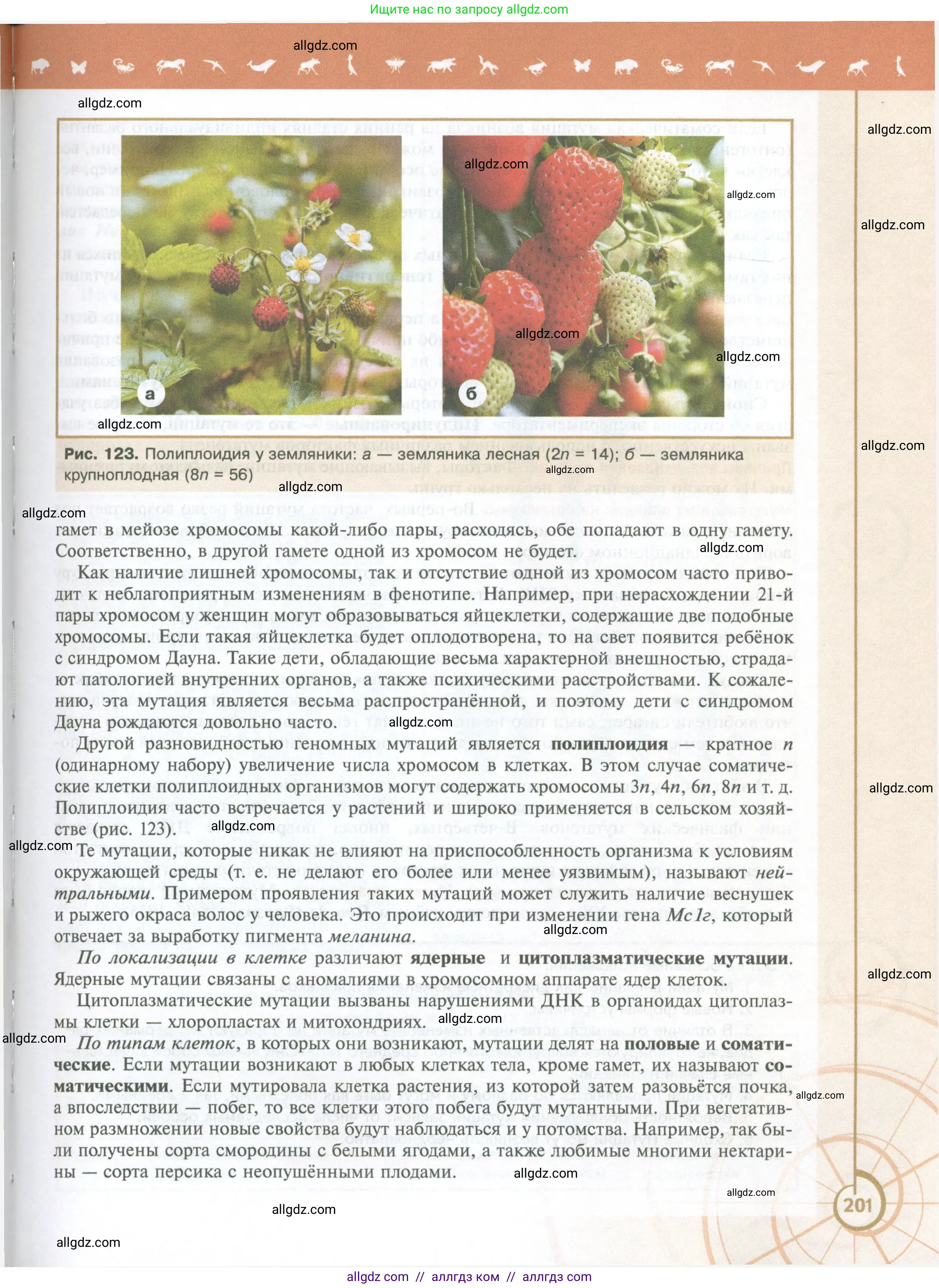 Биология, 10 класс Учебник, авторы: Пасечник Владимир Васильевич, Каменский Андрей Александрович, Рубцов Александр Михайлович, Швецов Глеб Геннадьевич, Абовян Леван Арташесович, Гапонюк Зоя Георгиевна, издательство Просвещение, Москва, 2024, коричневого цвета, страница 201