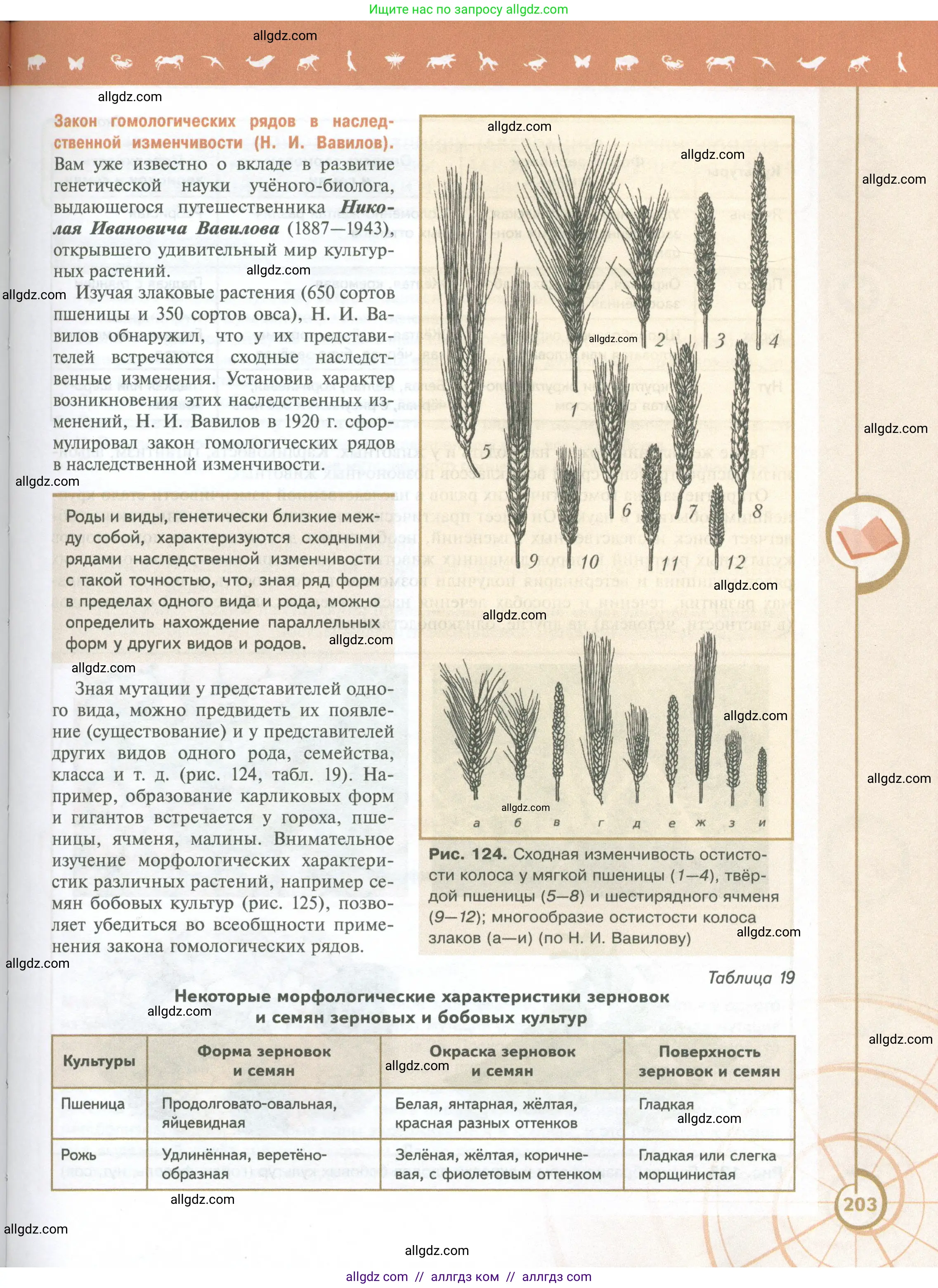 Биология, 10 класс Учебник, авторы: Пасечник Владимир Васильевич, Каменский Андрей Александрович, Рубцов Александр Михайлович, Швецов Глеб Геннадьевич, Абовян Леван Арташесович, Гапонюк Зоя Георгиевна, издательство Просвещение, Москва, 2024, коричневого цвета, страница 203