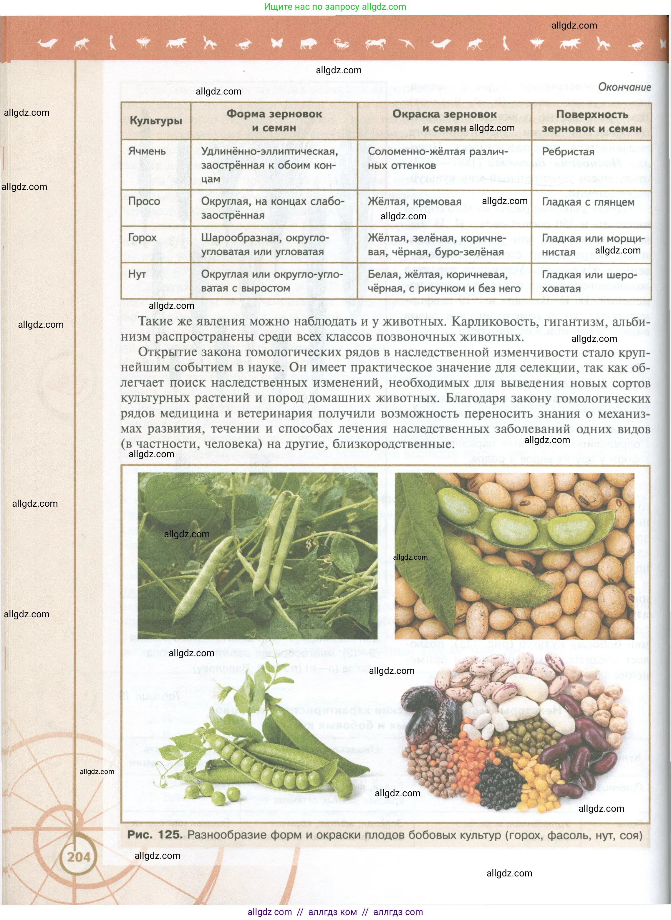 Биология, 10 класс Учебник, авторы: Пасечник Владимир Васильевич, Каменский Андрей Александрович, Рубцов Александр Михайлович, Швецов Глеб Геннадьевич, Абовян Леван Арташесович, Гапонюк Зоя Георгиевна, издательство Просвещение, Москва, 2024, коричневого цвета, страница 204
