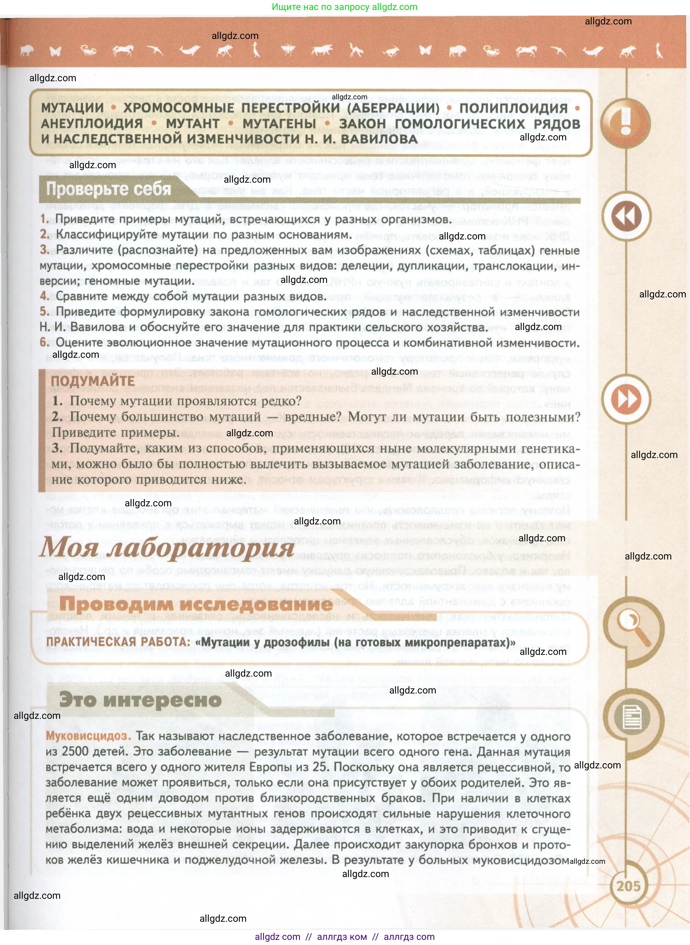 Биология, 10 класс Учебник, авторы: Пасечник Владимир Васильевич, Каменский Андрей Александрович, Рубцов Александр Михайлович, Швецов Глеб Геннадьевич, Абовян Леван Арташесович, Гапонюк Зоя Георгиевна, издательство Просвещение, Москва, 2024, коричневого цвета, Часть 2, страница 205