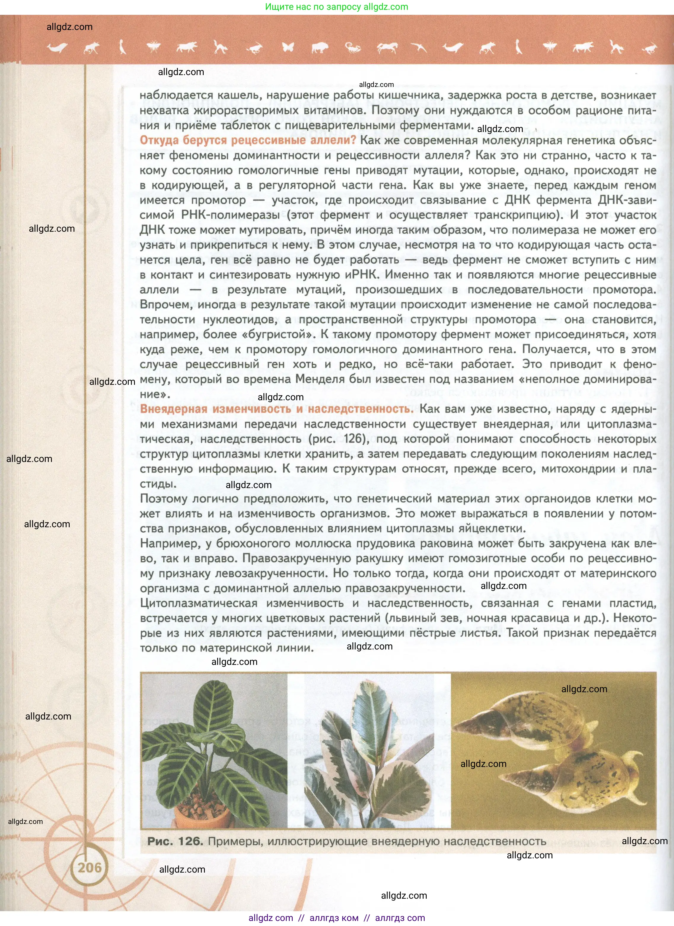 Биология, 10 класс Учебник, авторы: Пасечник Владимир Васильевич, Каменский Андрей Александрович, Рубцов Александр Михайлович, Швецов Глеб Геннадьевич, Абовян Леван Арташесович, Гапонюк Зоя Георгиевна, издательство Просвещение, Москва, 2024, коричневого цвета, страница 206