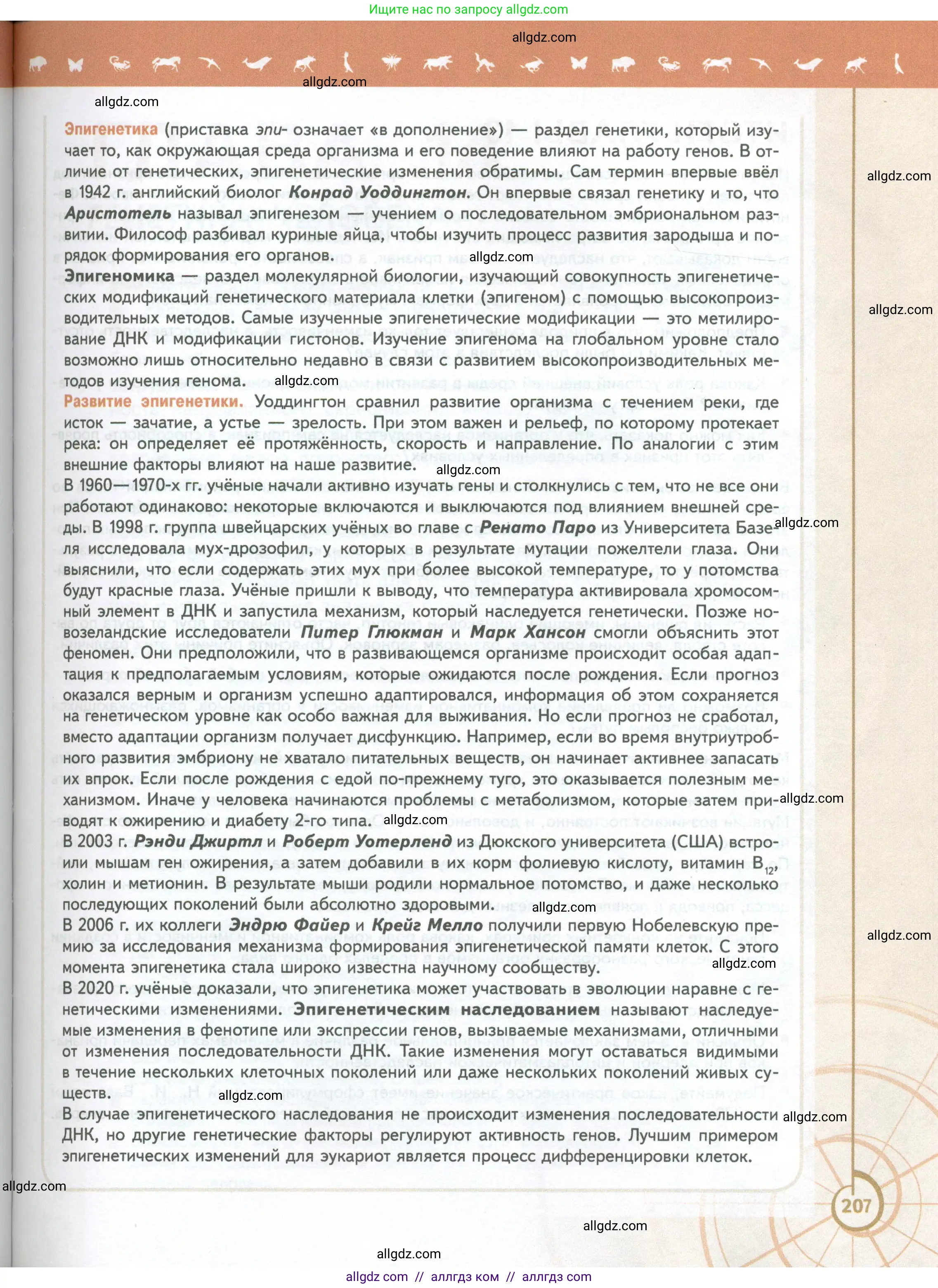 Биология, 10 класс Учебник, авторы: Пасечник Владимир Васильевич, Каменский Андрей Александрович, Рубцов Александр Михайлович, Швецов Глеб Геннадьевич, Абовян Леван Арташесович, Гапонюк Зоя Георгиевна, издательство Просвещение, Москва, 2024, коричневого цвета, страница 207